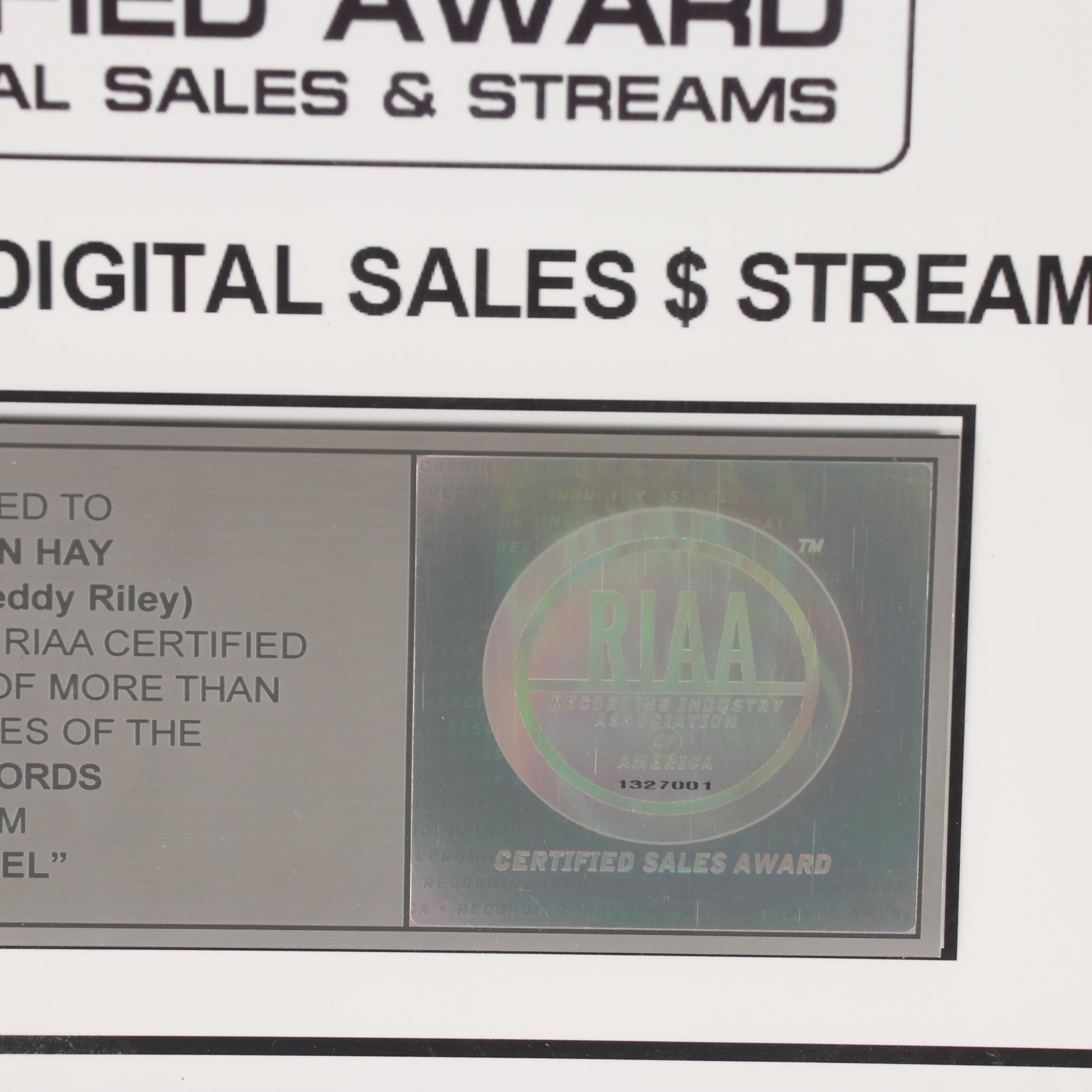 RIAA Platinum Album Award, Jonathan Hay, Publicist Michael Jackson Digital Sales