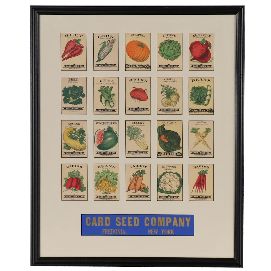 Card Seed Company Lithograph Seed Packets, Early-Mid 20th Century