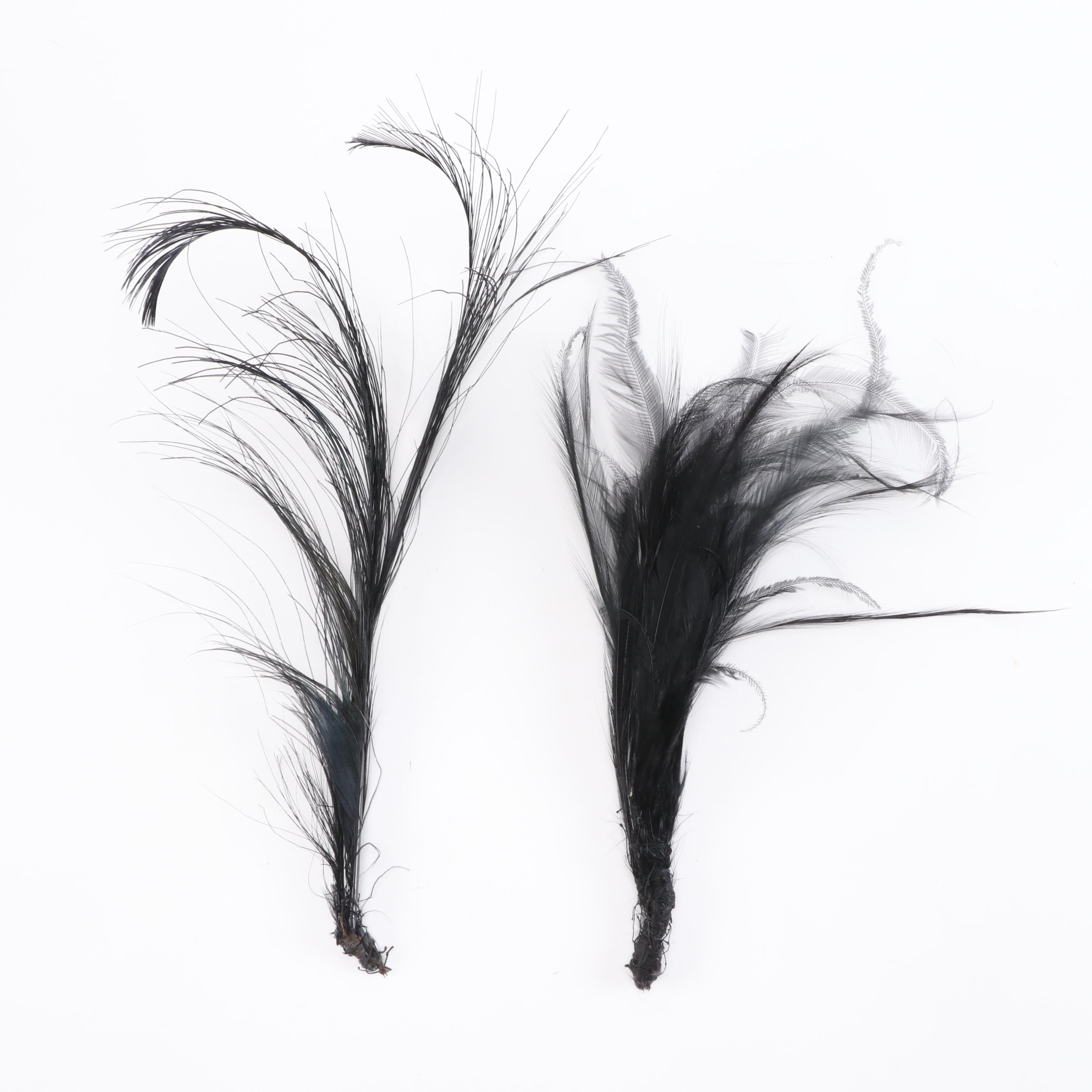 Milliner's Feathers with Squires-Lawton Co. of Cincinnati Hat Box, Vintage