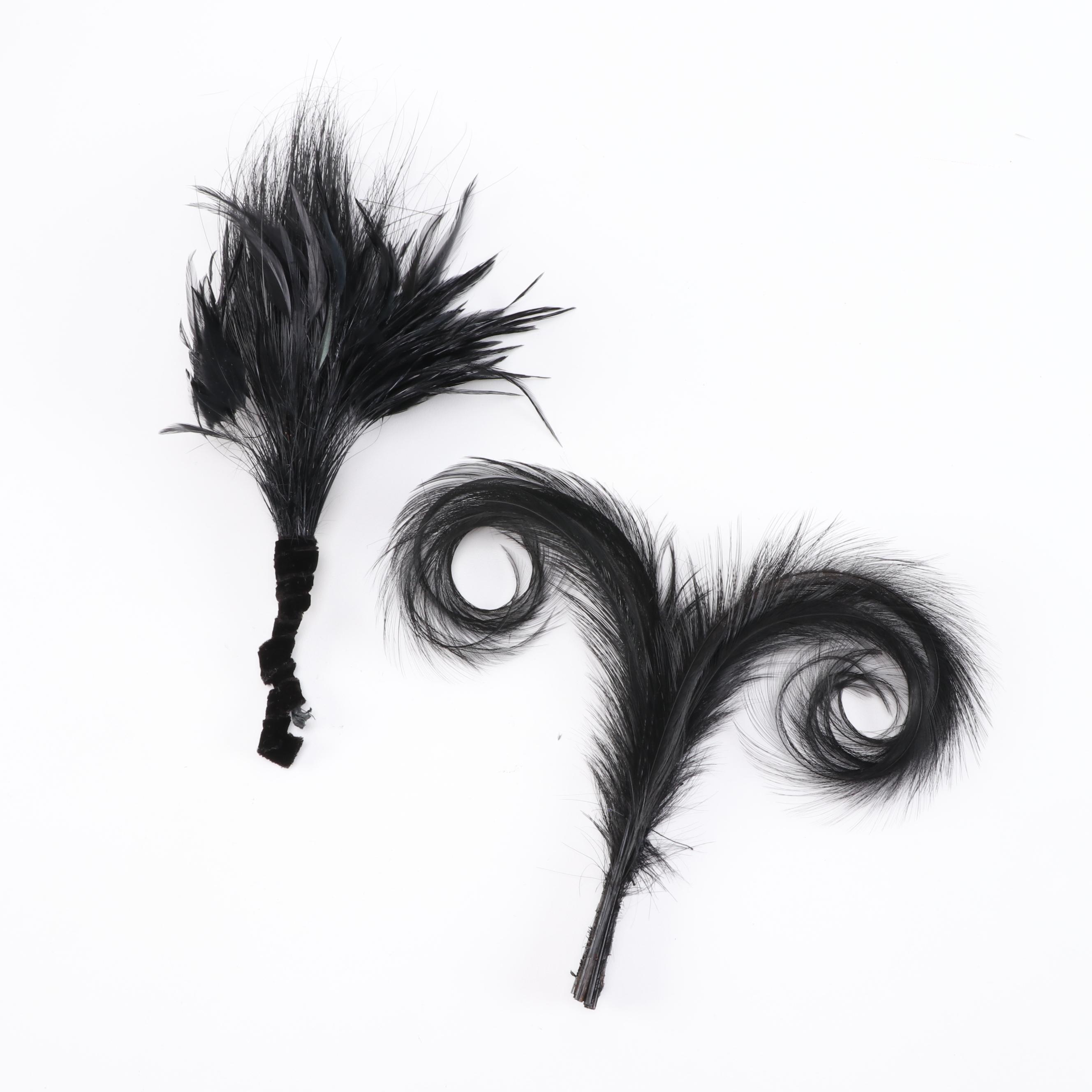 Milliner's Feathers with Squires-Lawton Co. of Cincinnati Hat Box, Vintage