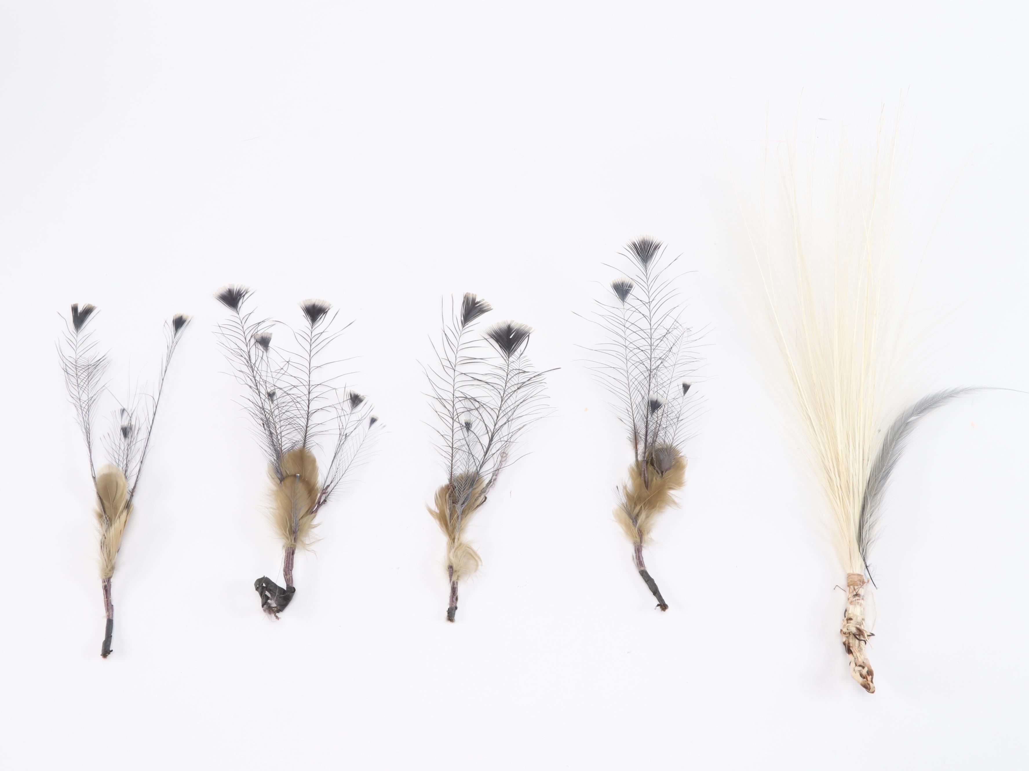 Milliner's Feathers with Squires-Lawton Co. of Cincinnati Hat Box, Vintage