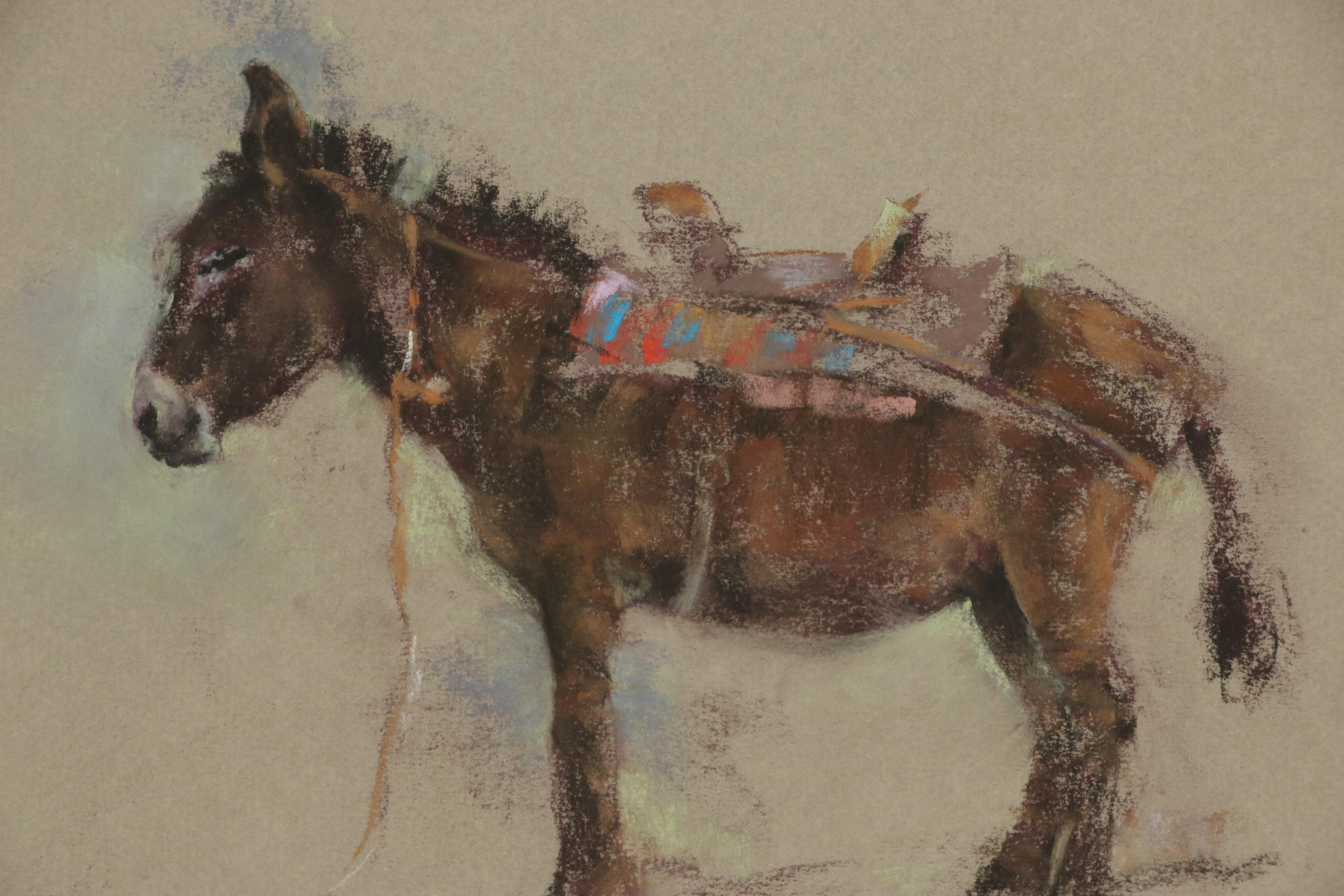 Adam Kelley Pastel Drawing of Domestic Donkey, 1984