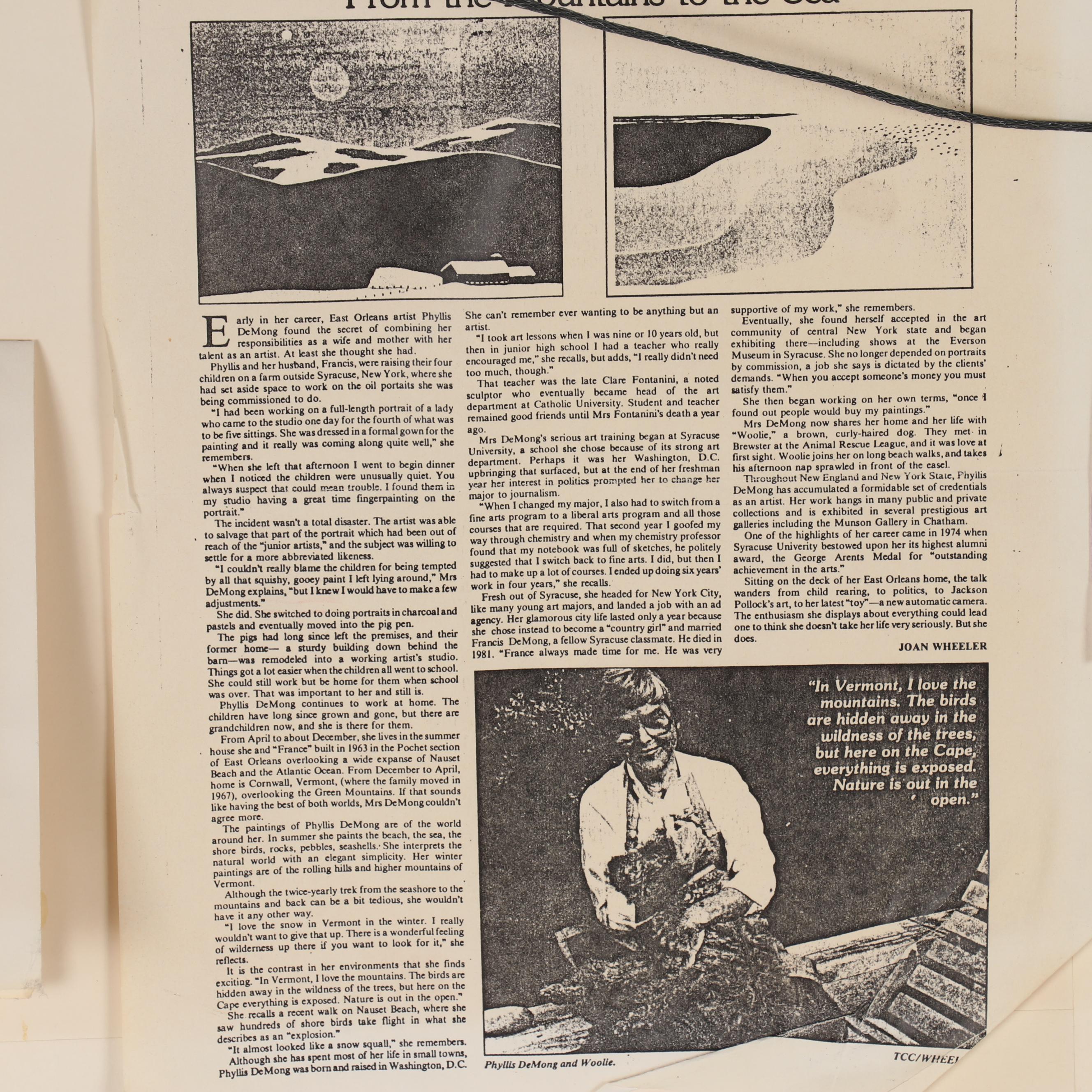 Phyllis DeMong Serigraph "Sleeping Gulls"