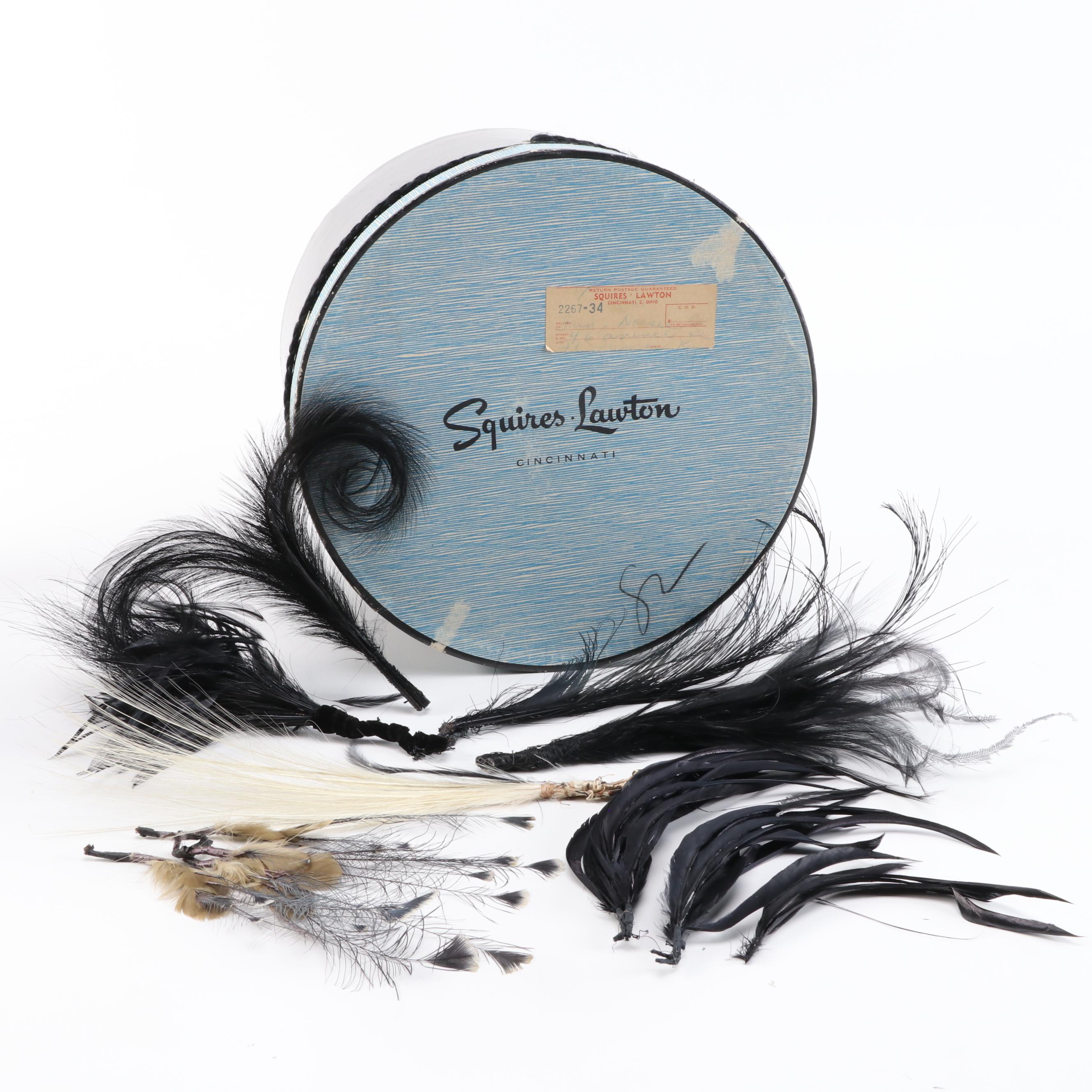 Milliner's Feathers with Squires-Lawton Co. of Cincinnati Hat Box, Vintage