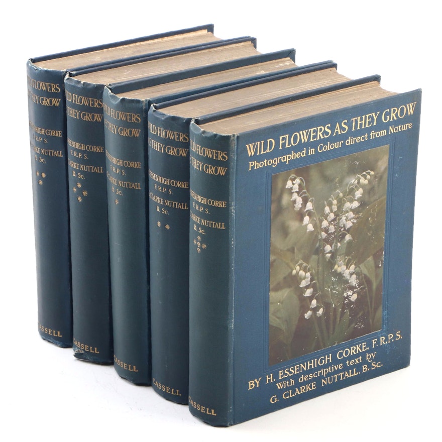 Illustrated "Wild Flowers As They Grow" Series One to Series Five, 1911–1913