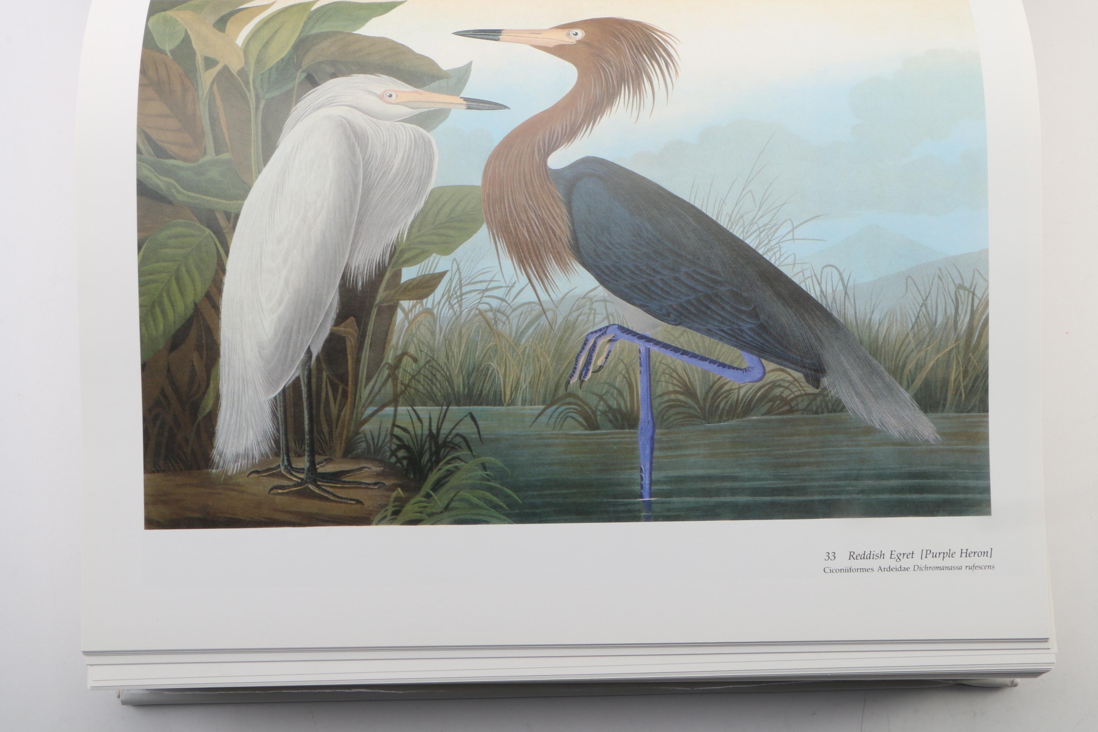 "Audubon’s Birds of America" by Roger T. Peterson and Virginia M. Peterson, 1985