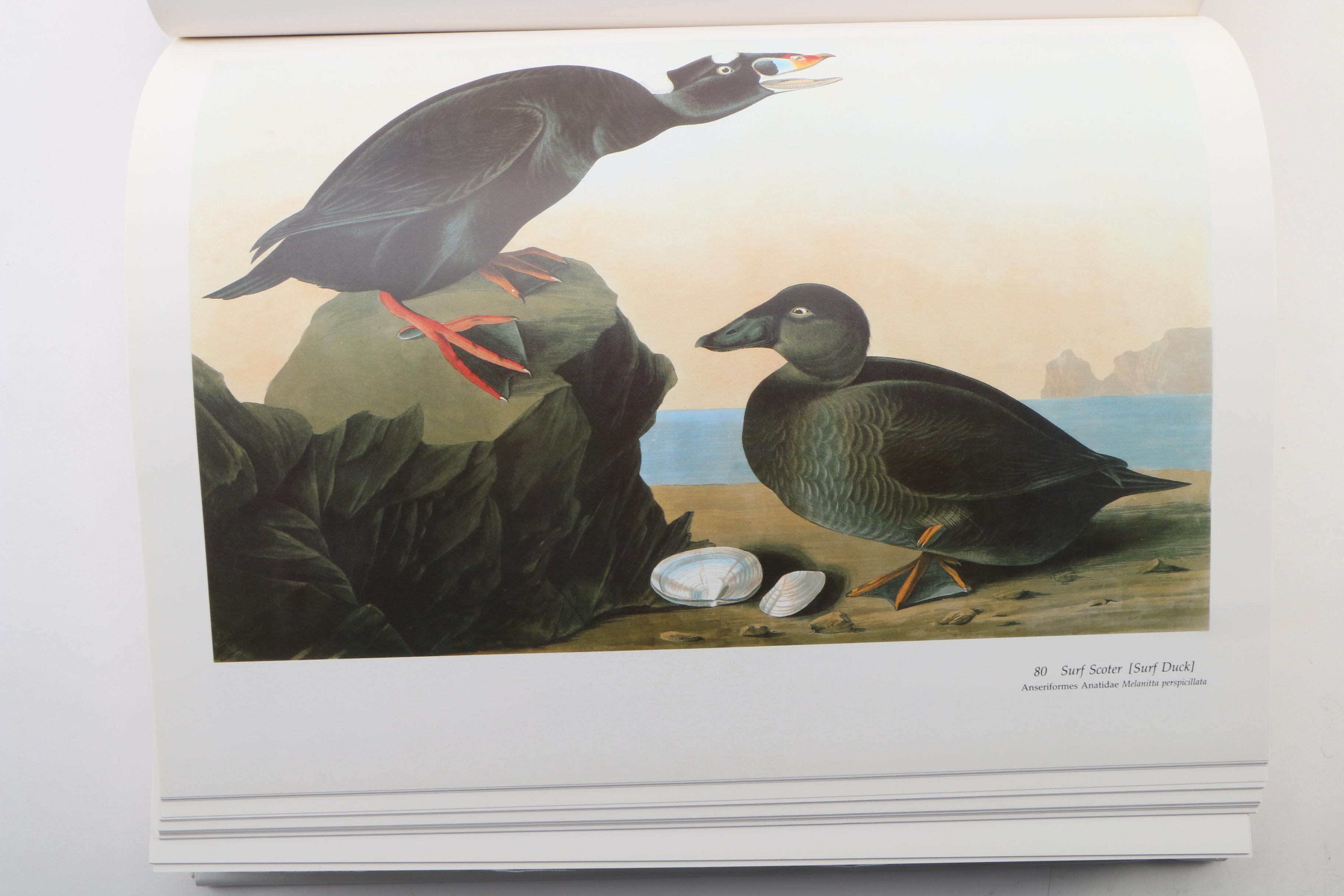 "Audubon’s Birds of America" by Roger T. Peterson and Virginia M. Peterson, 1985