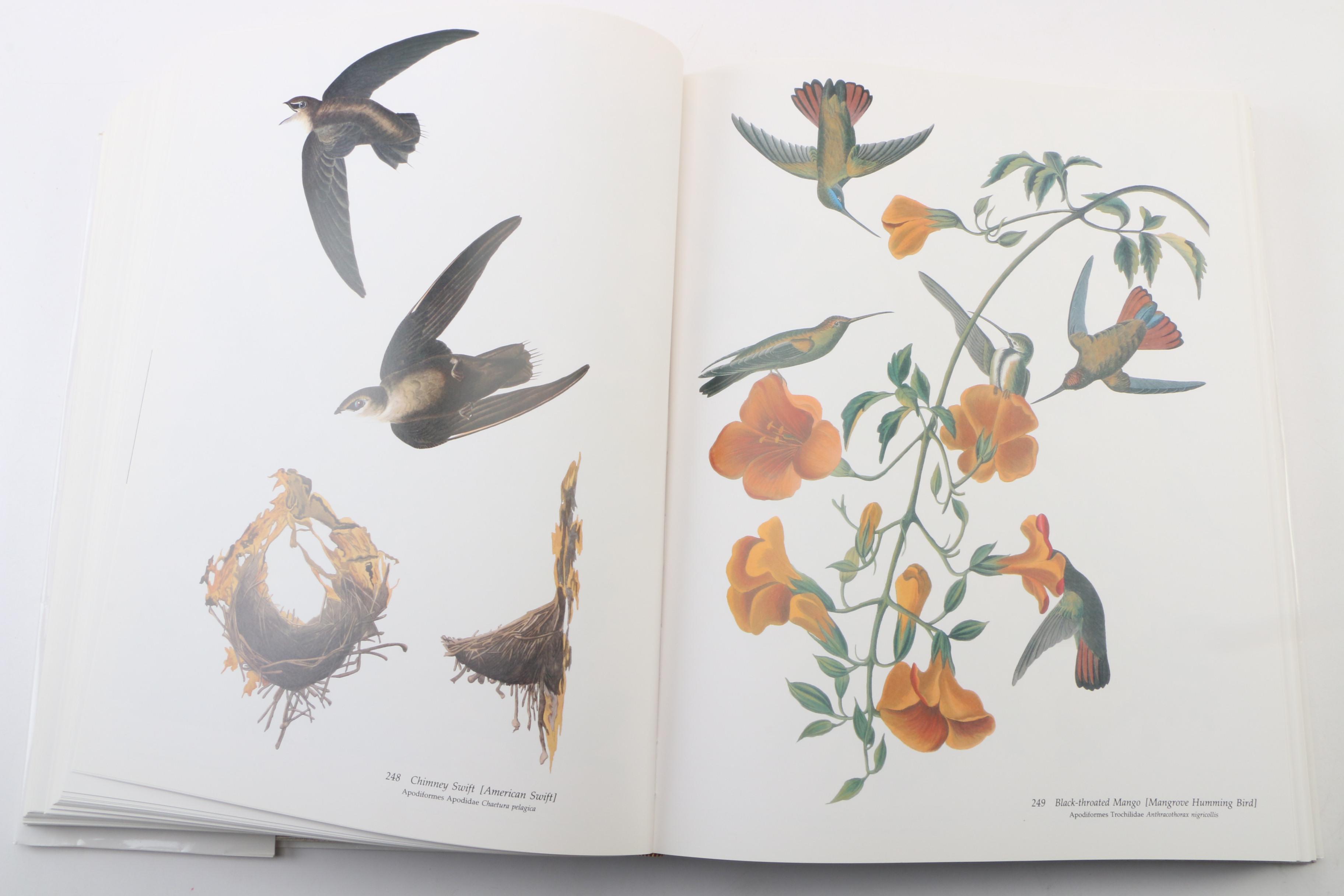 "Audubon’s Birds of America" by Roger T. Peterson and Virginia M. Peterson, 1985