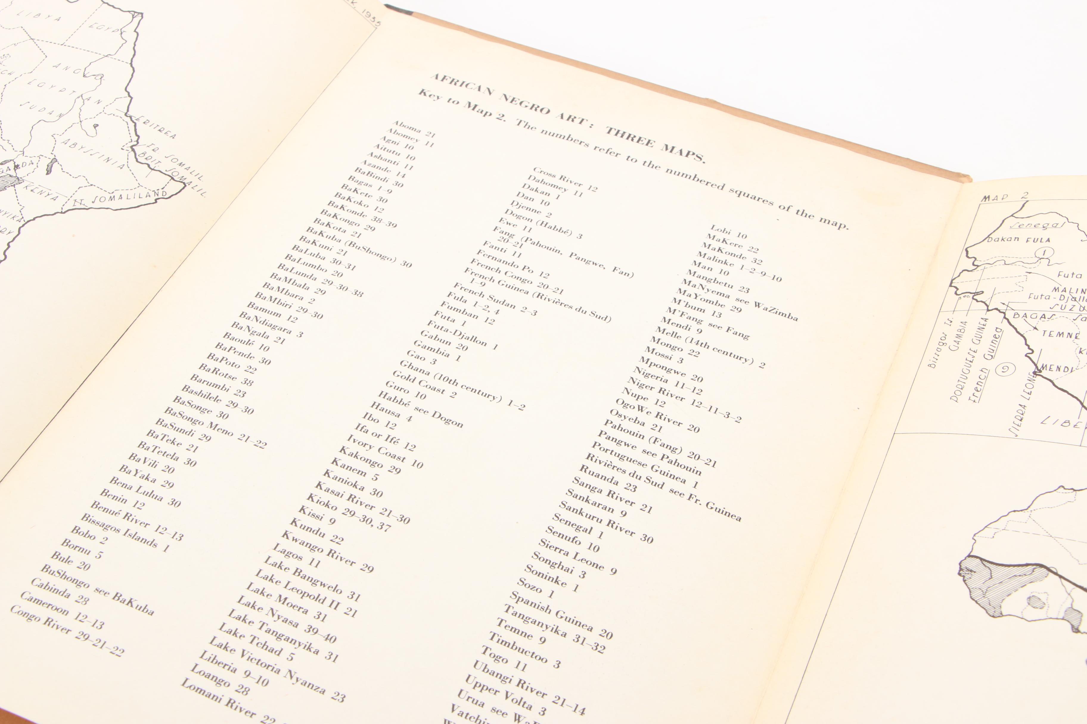 "The Emergence of the African-American Artist" and "African Negro Art" Books