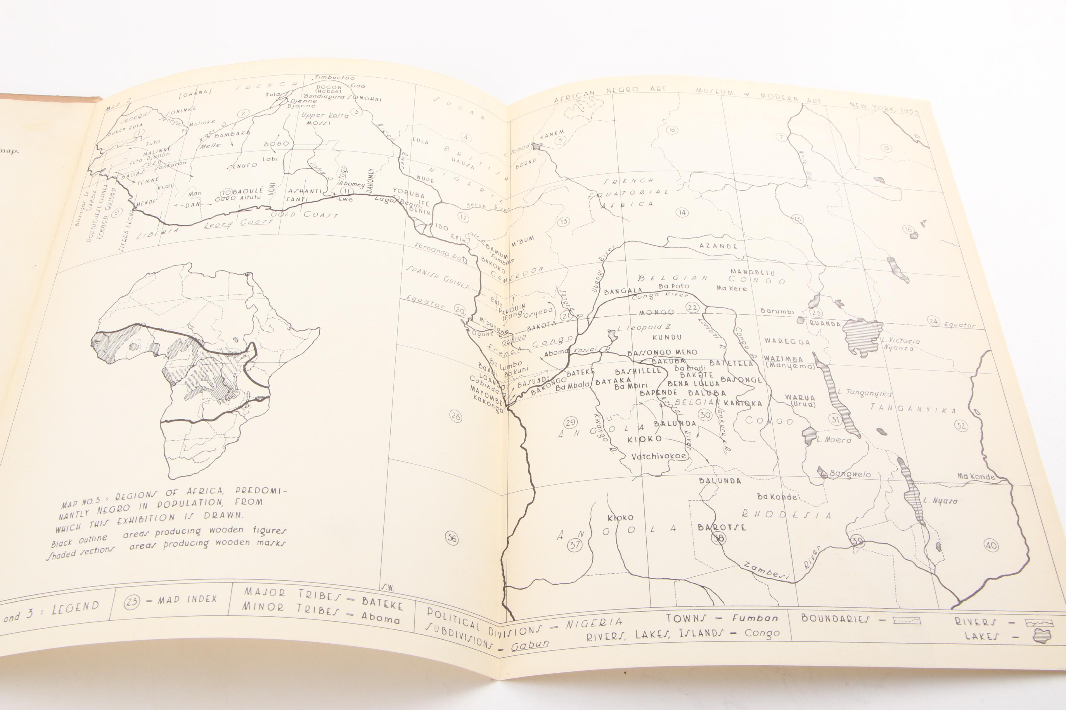 "The Emergence of the African-American Artist" and "African Negro Art" Books