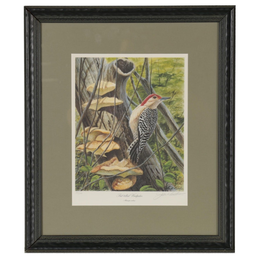 John Ruthven Offset Lithograph "Red-Bellied Woodpecker," 21st century