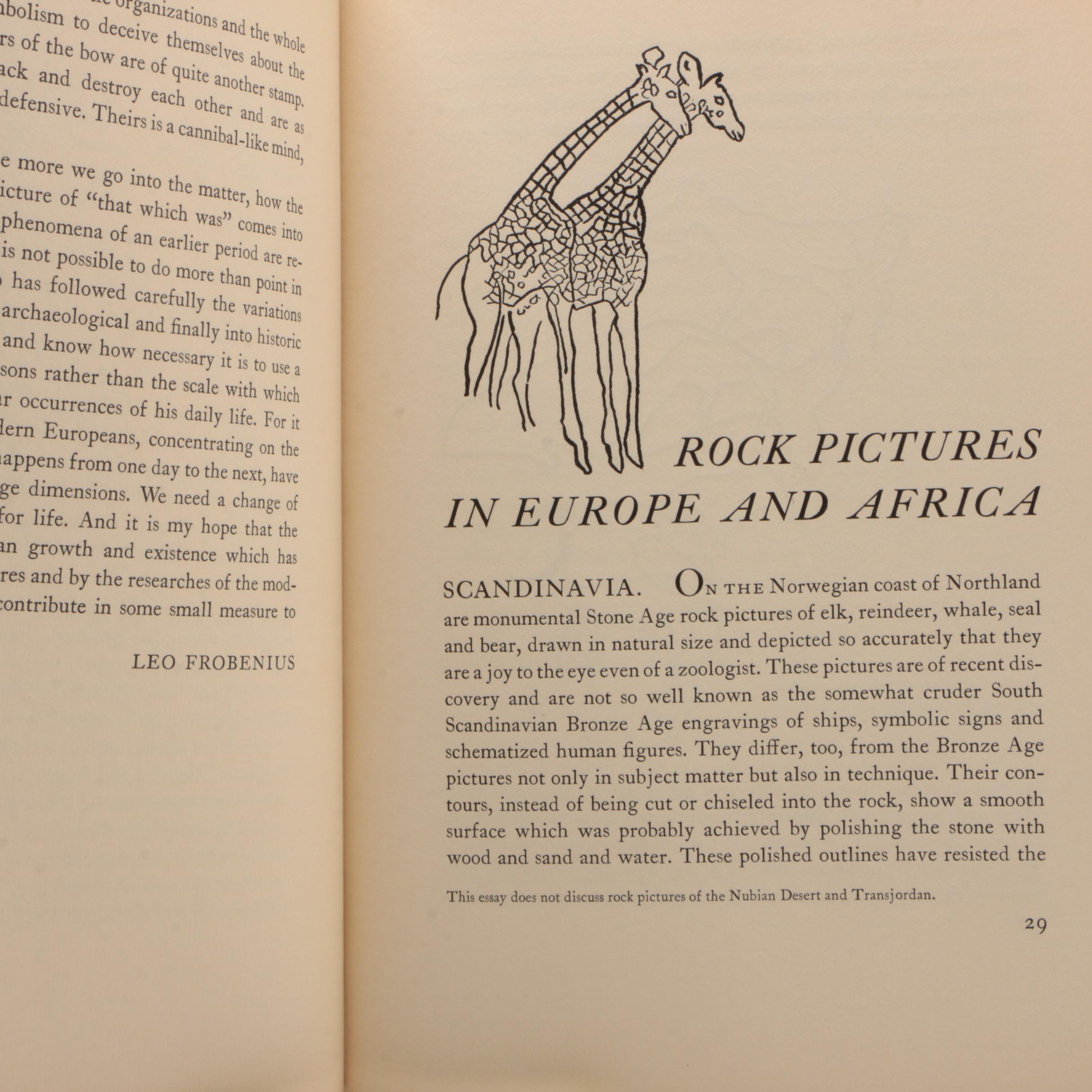 Art History Book Collection of Native American and Global Art