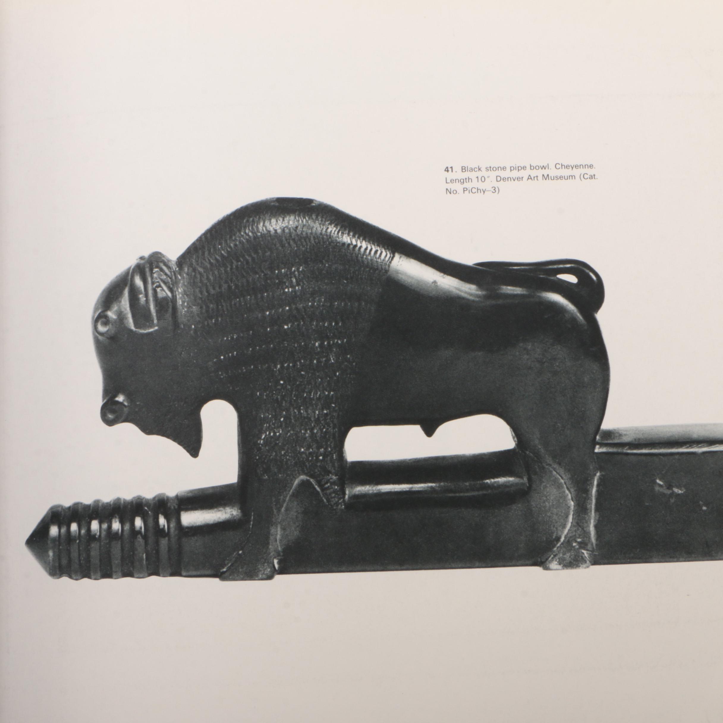 Art History Book Collection of Native American and Global Art