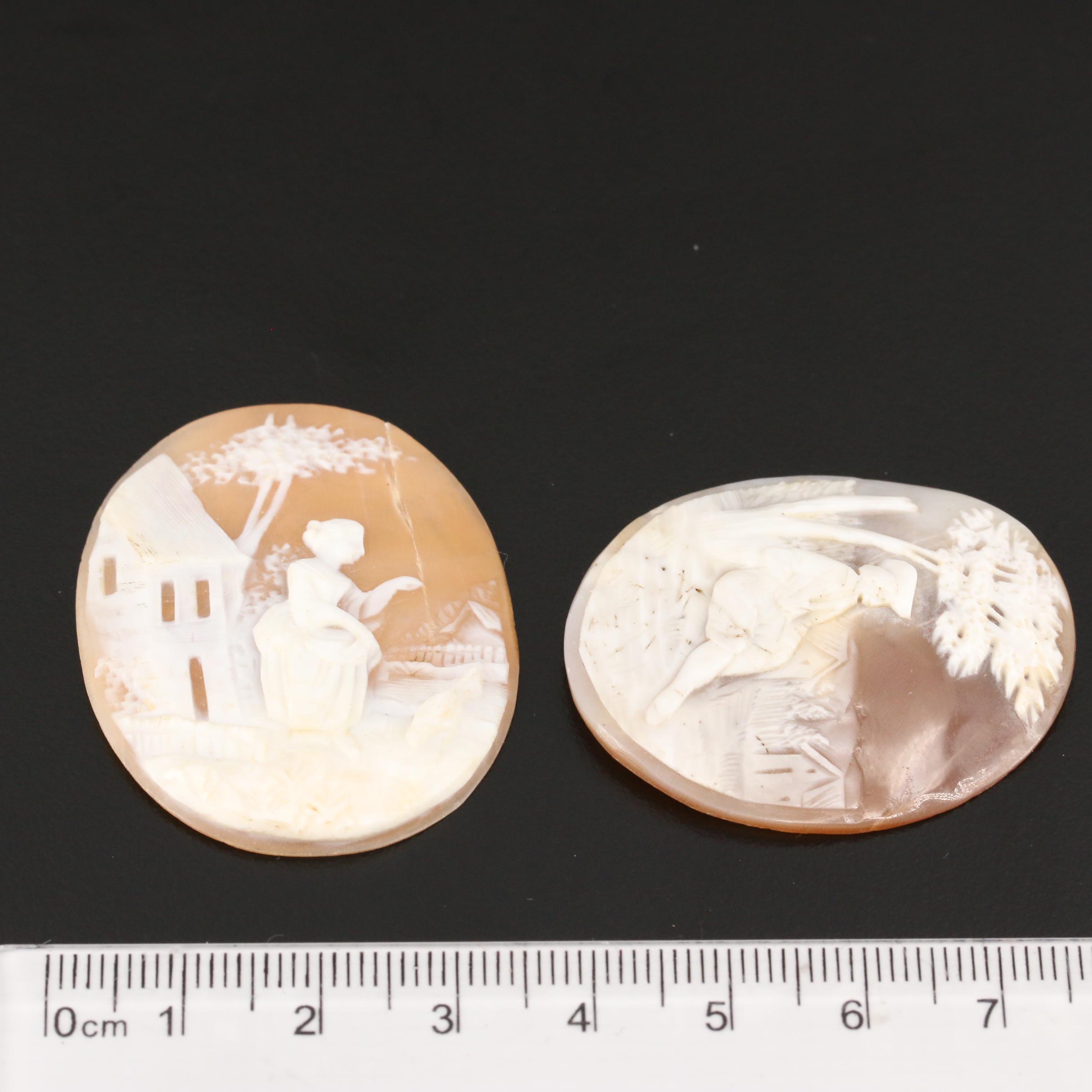 Loose Helmet Shell Cameos