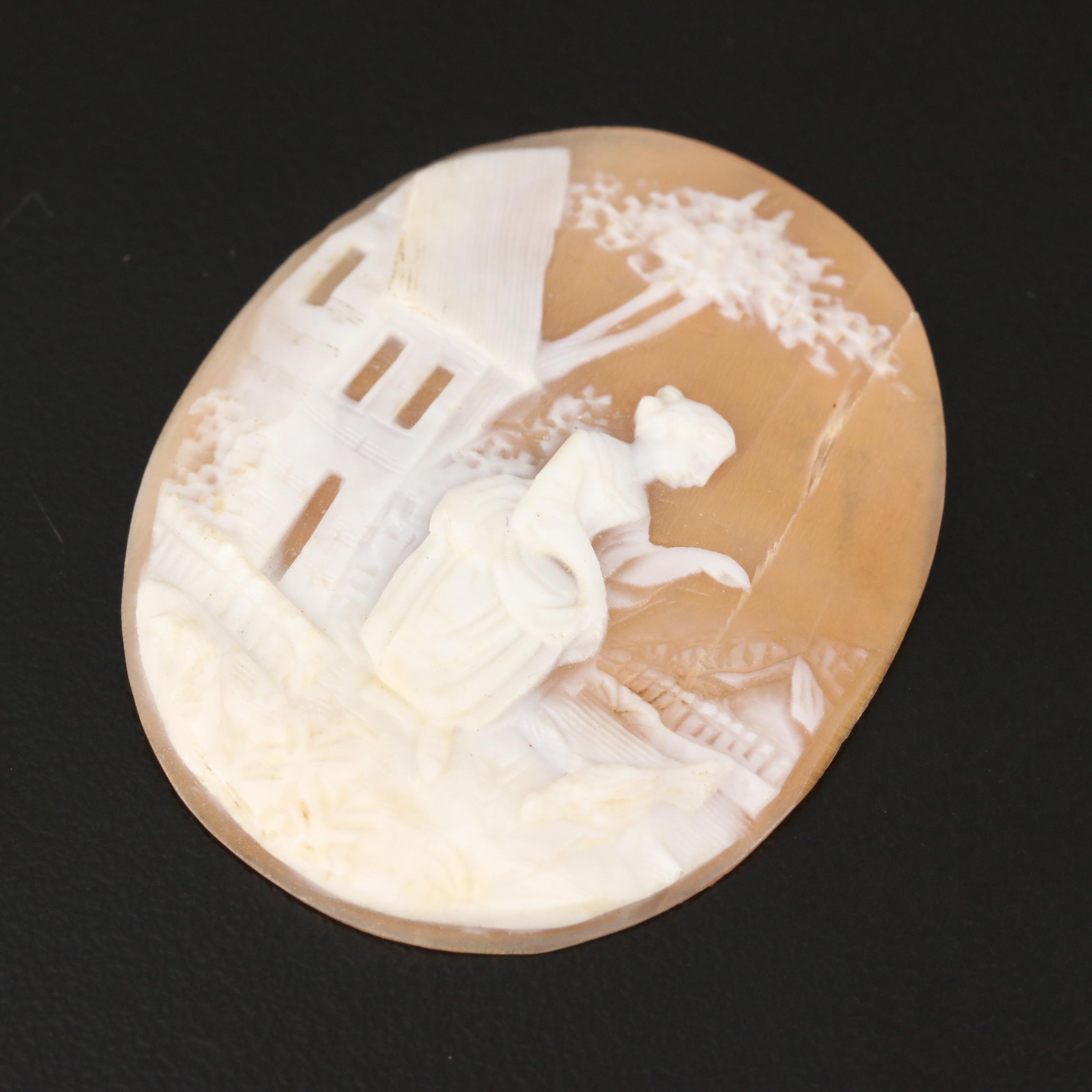 Loose Helmet Shell Cameos