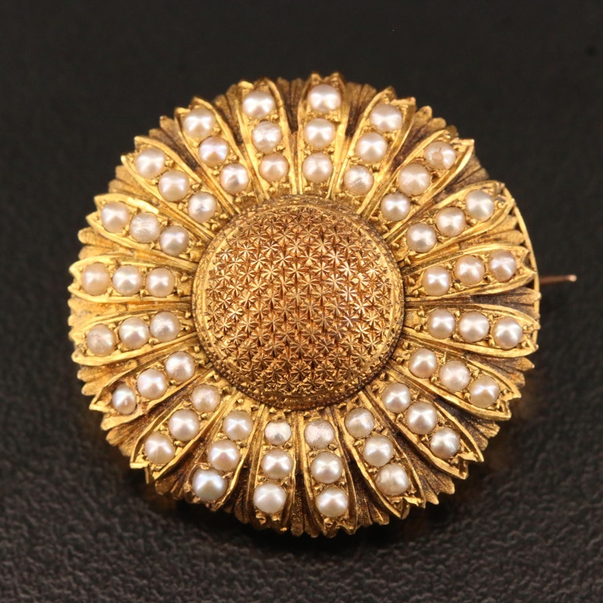 Victorian 18K Seed Pearl Daisy Motif Mourning Brooch