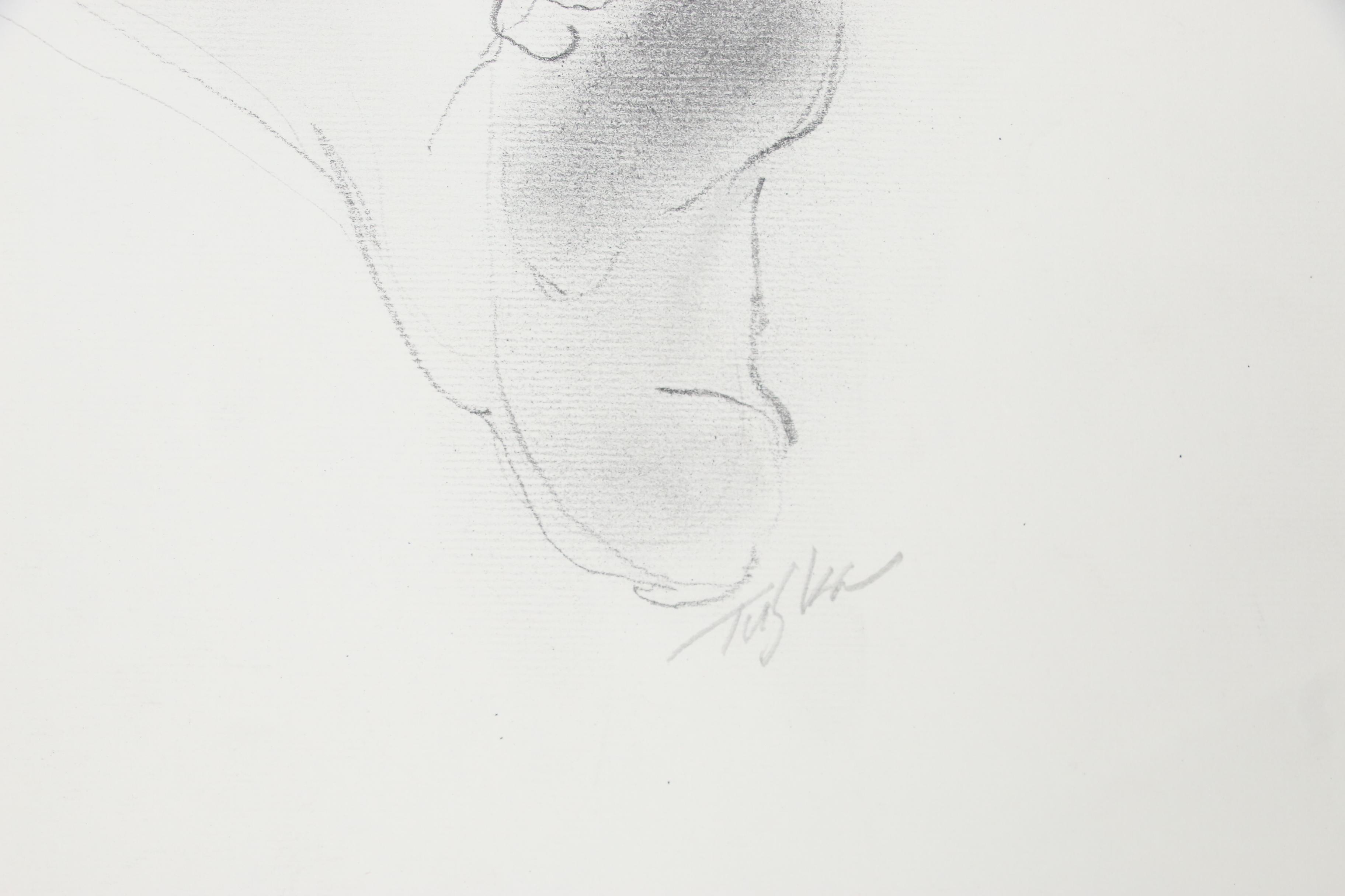 John Tuska Figure Drawings of Female Nudes, 1972