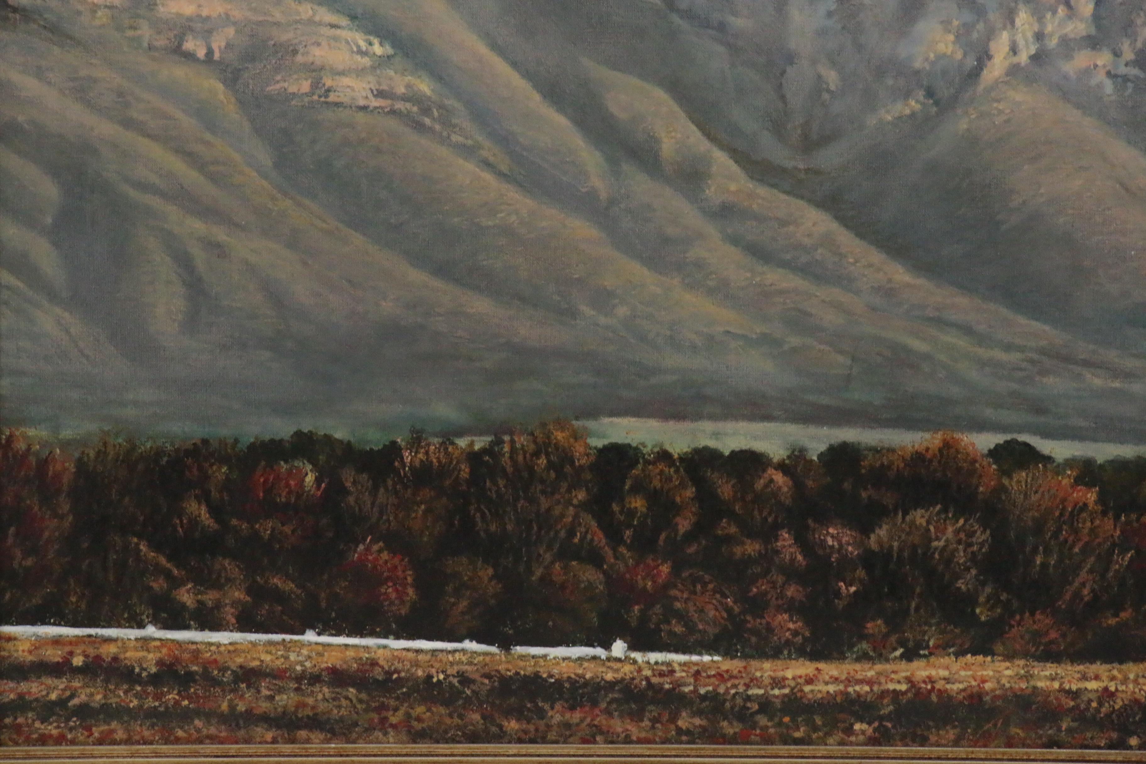 Peter Heywood Acrylic Painting of South African Landscape, 1998