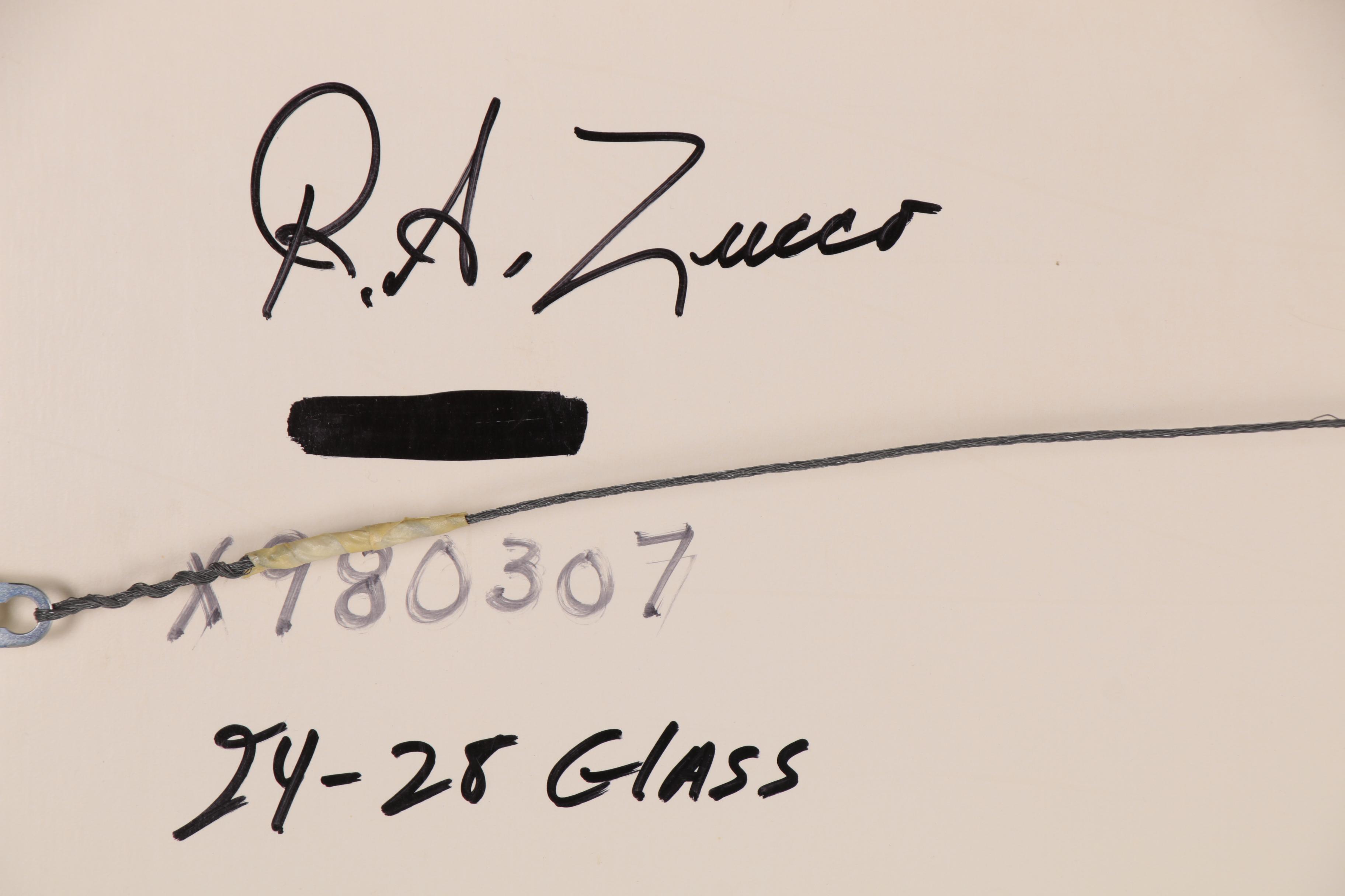 Richard Zucco Fluid Abstract Oil Painting