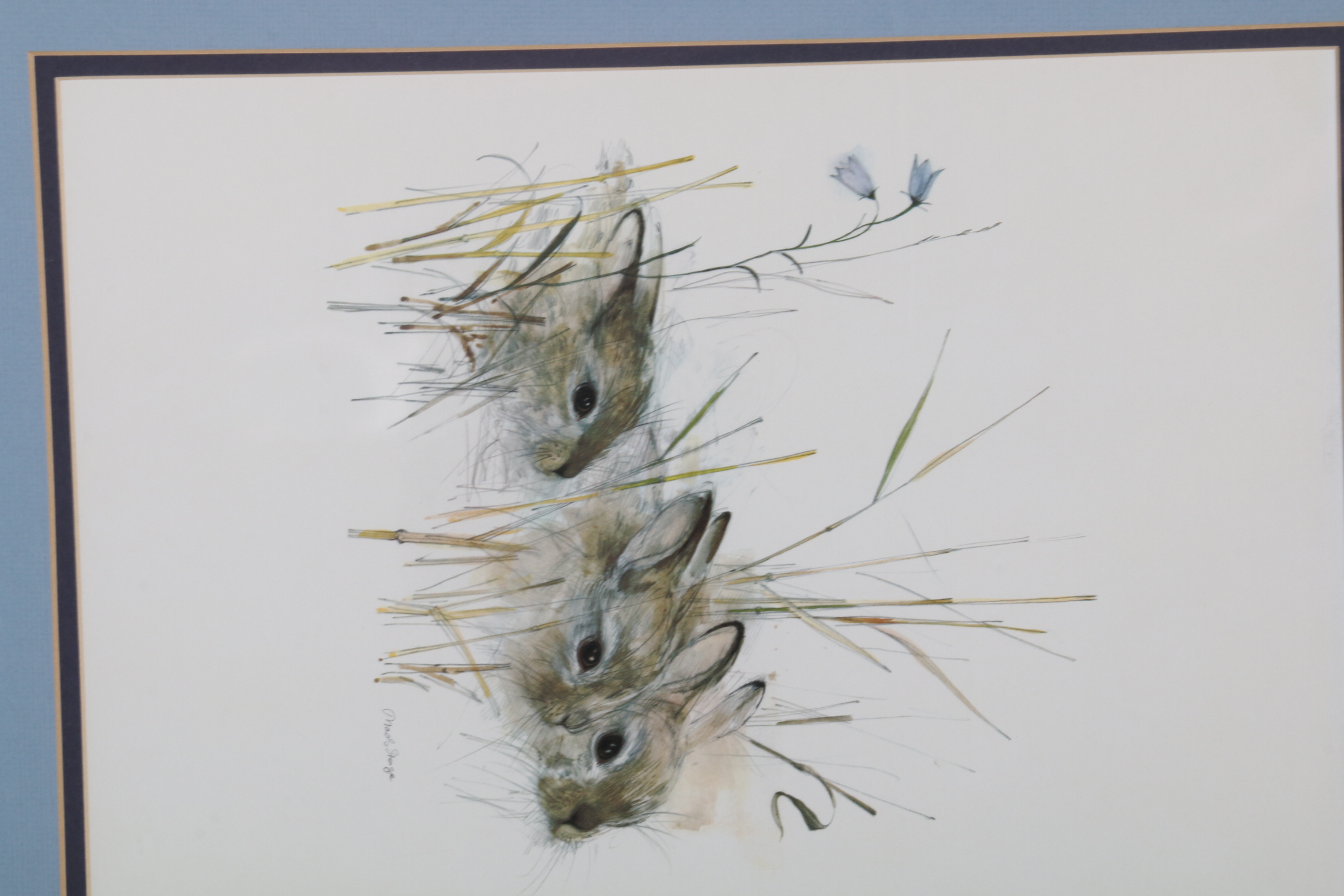 Offset Lithograph after Mads Stage "Harekillinger"