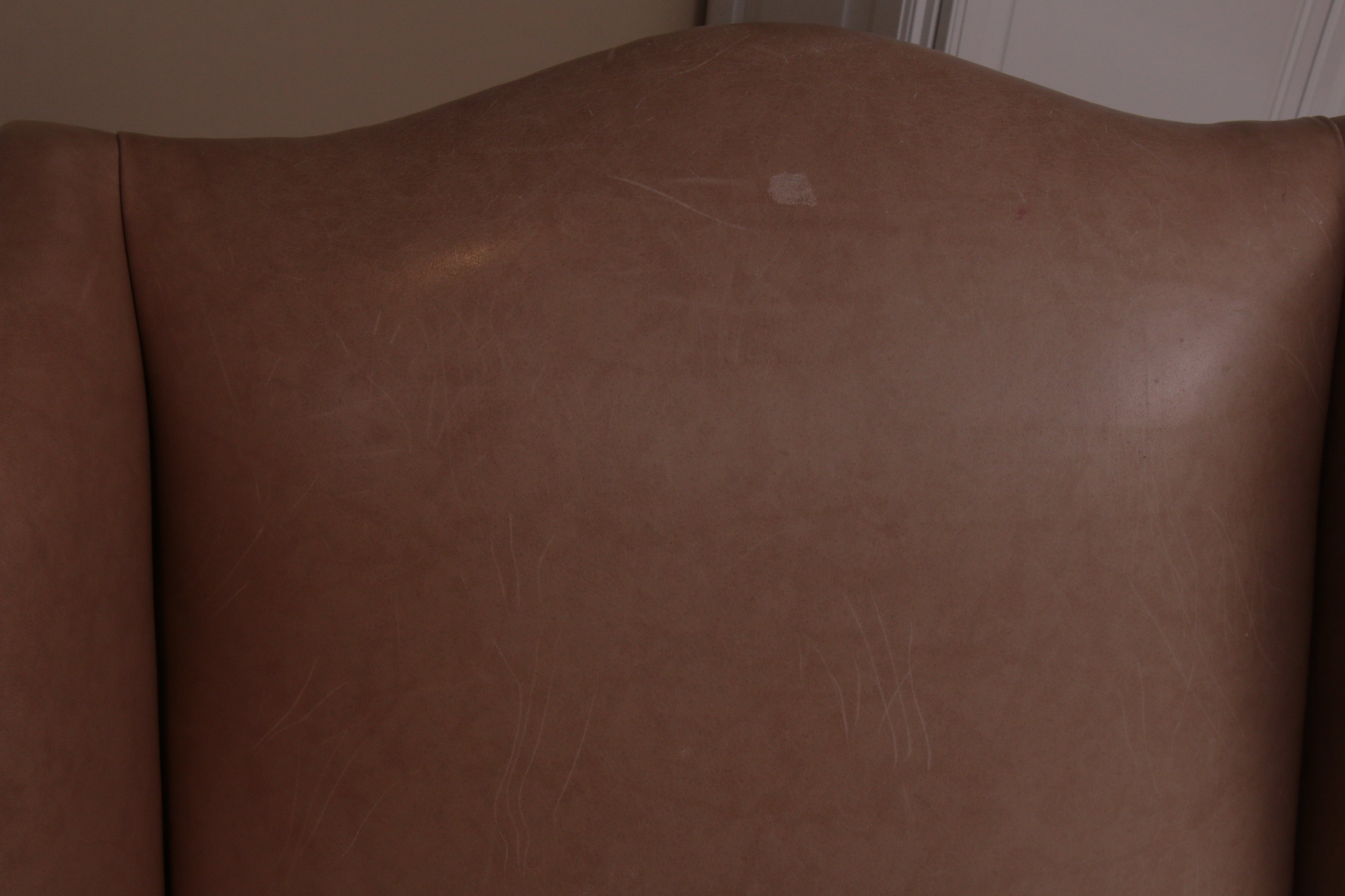 Ethan Allen Queen Anne-Style Leather-Upholstered Wingback Armchair