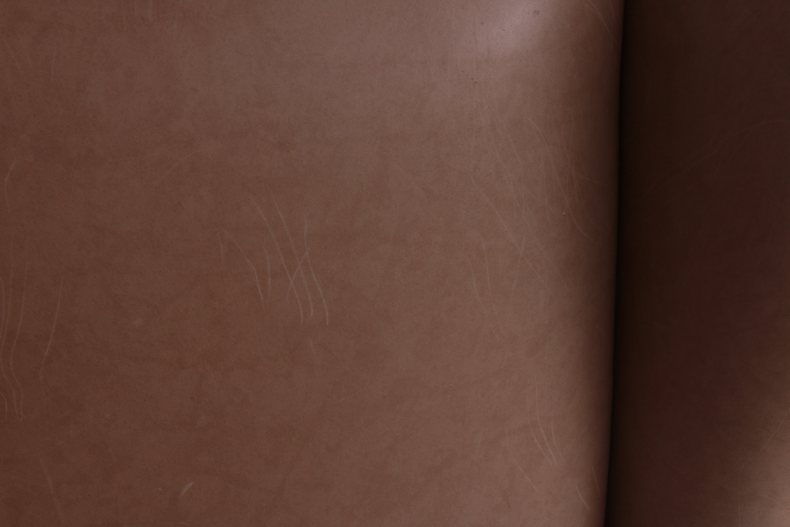 Ethan Allen Queen Anne-Style Leather-Upholstered Wingback Armchair