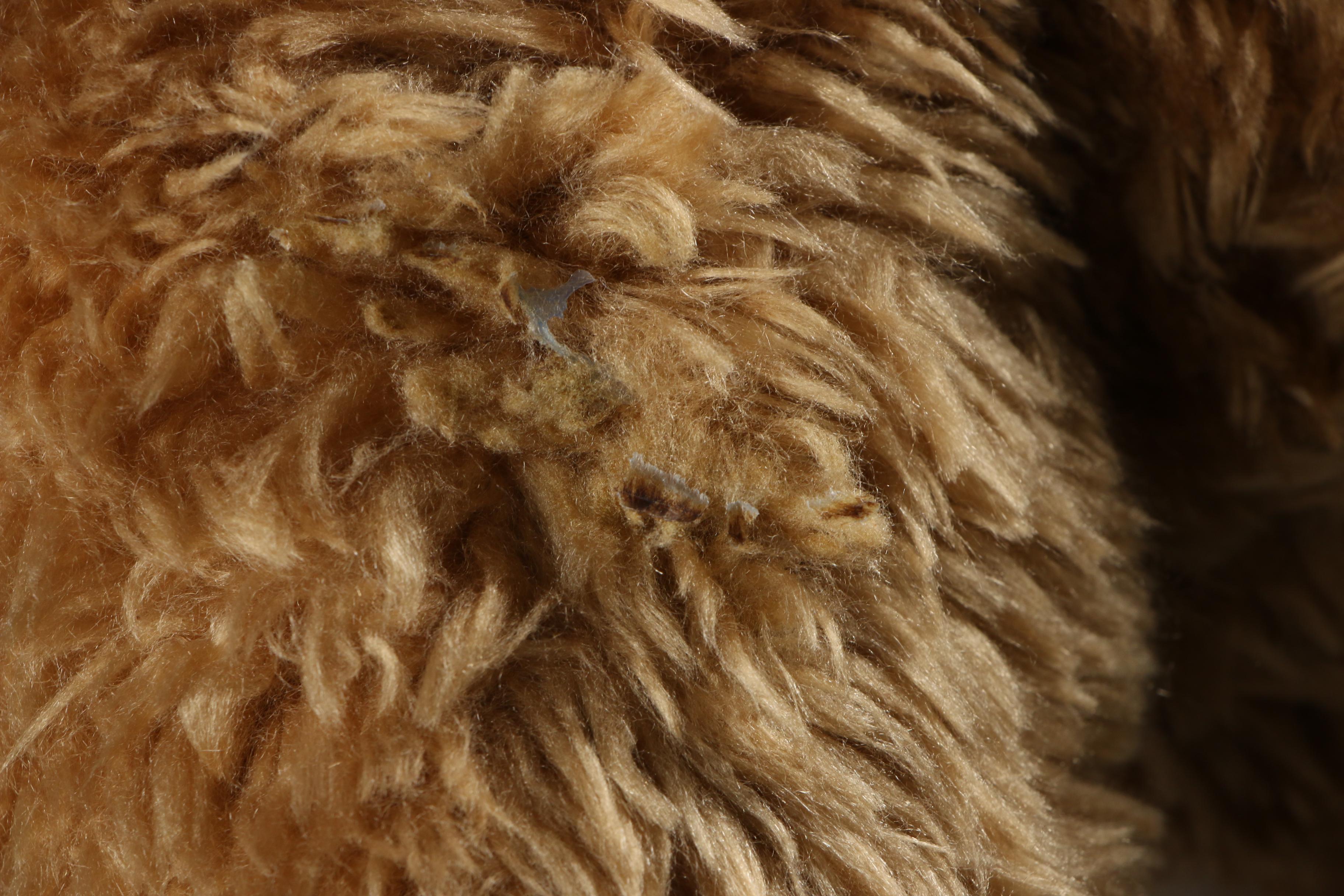 The Vermont Teddy Bear Company Stuffed Bears, Including "Birthday Suit" Bear