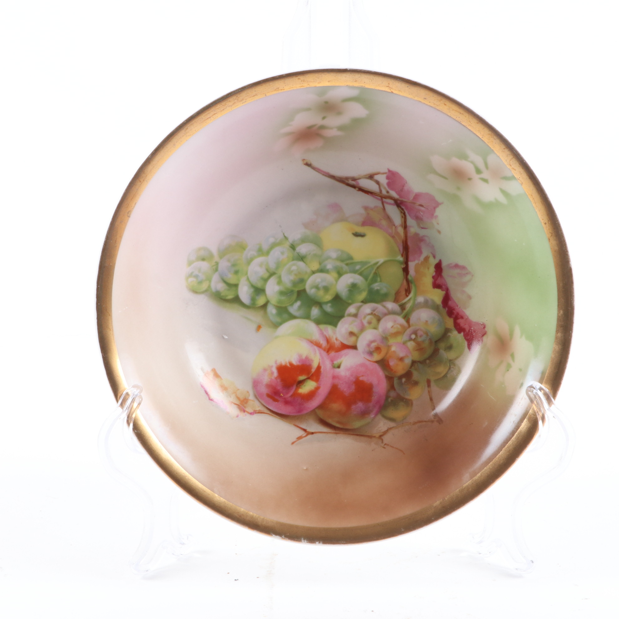 Haviland Hand-Painted Porcelain Plate and Other German Hand-Painted Dinnerware