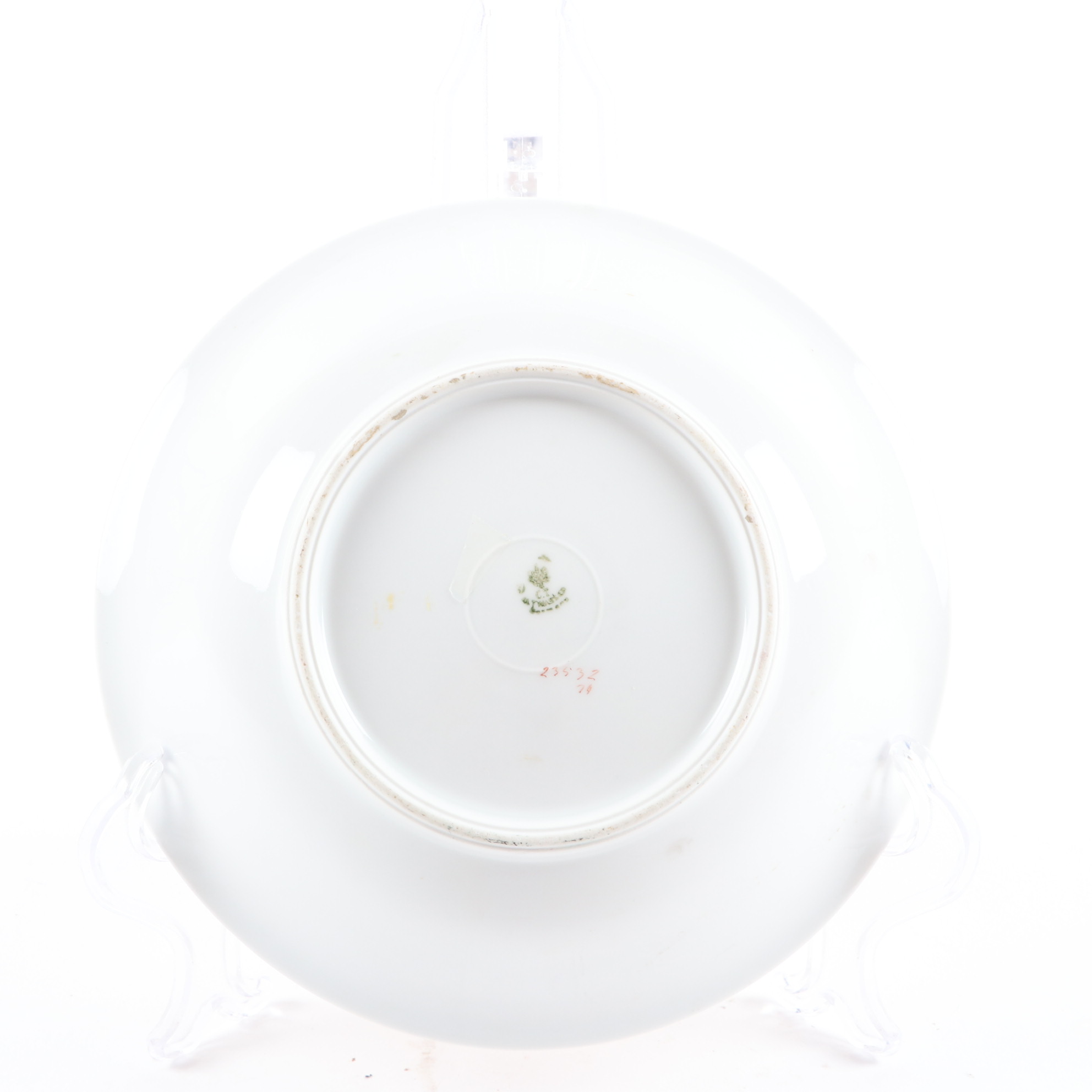 Haviland Hand-Painted Porcelain Plate and Other German Hand-Painted Dinnerware