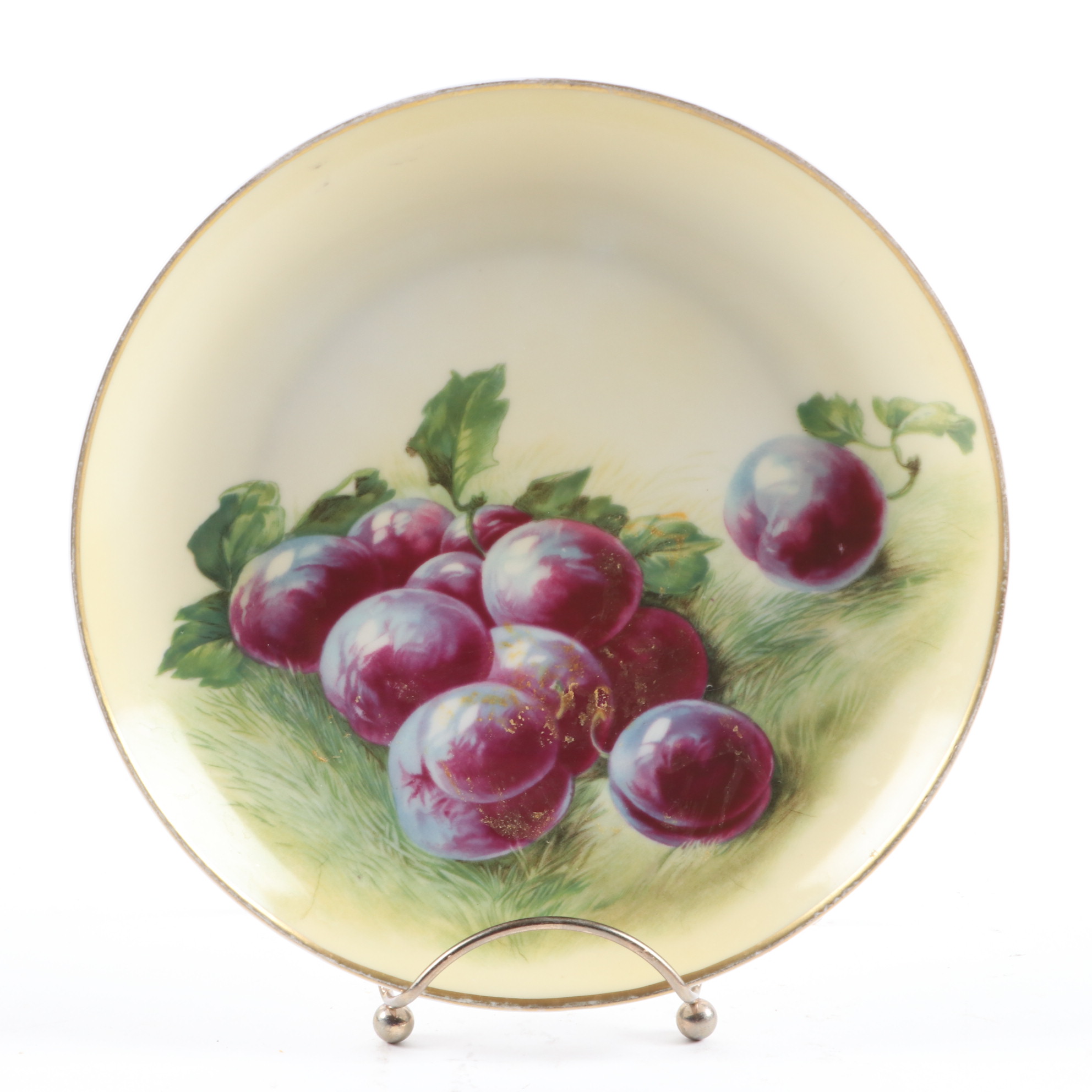 Haviland Hand-Painted Porcelain Plate and Other German Hand-Painted Dinnerware