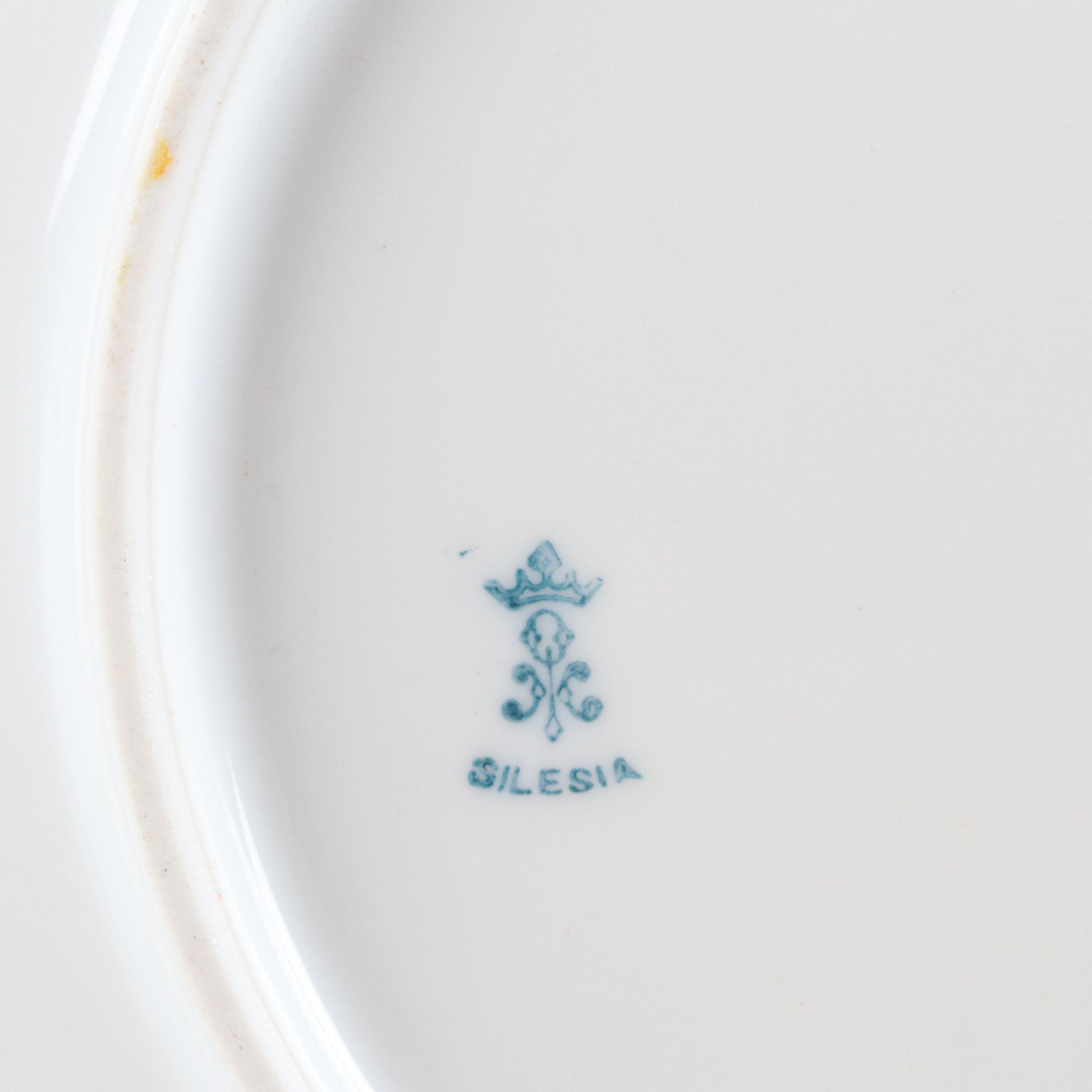 Haviland Hand-Painted Porcelain Plate and Other German Hand-Painted Dinnerware