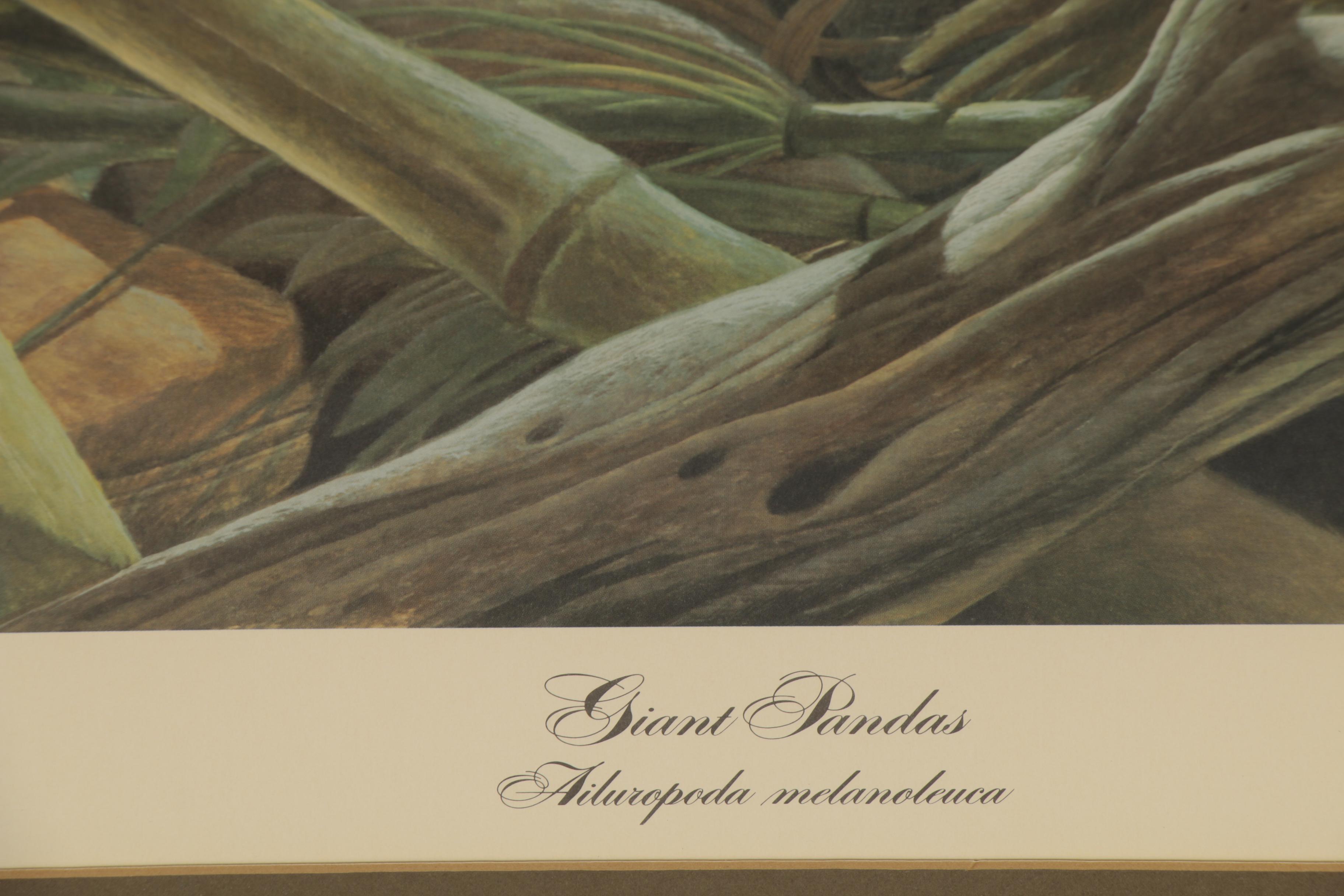 John A. Ruthven Offset Lithograph "Giant Pandas", Late 20th Century