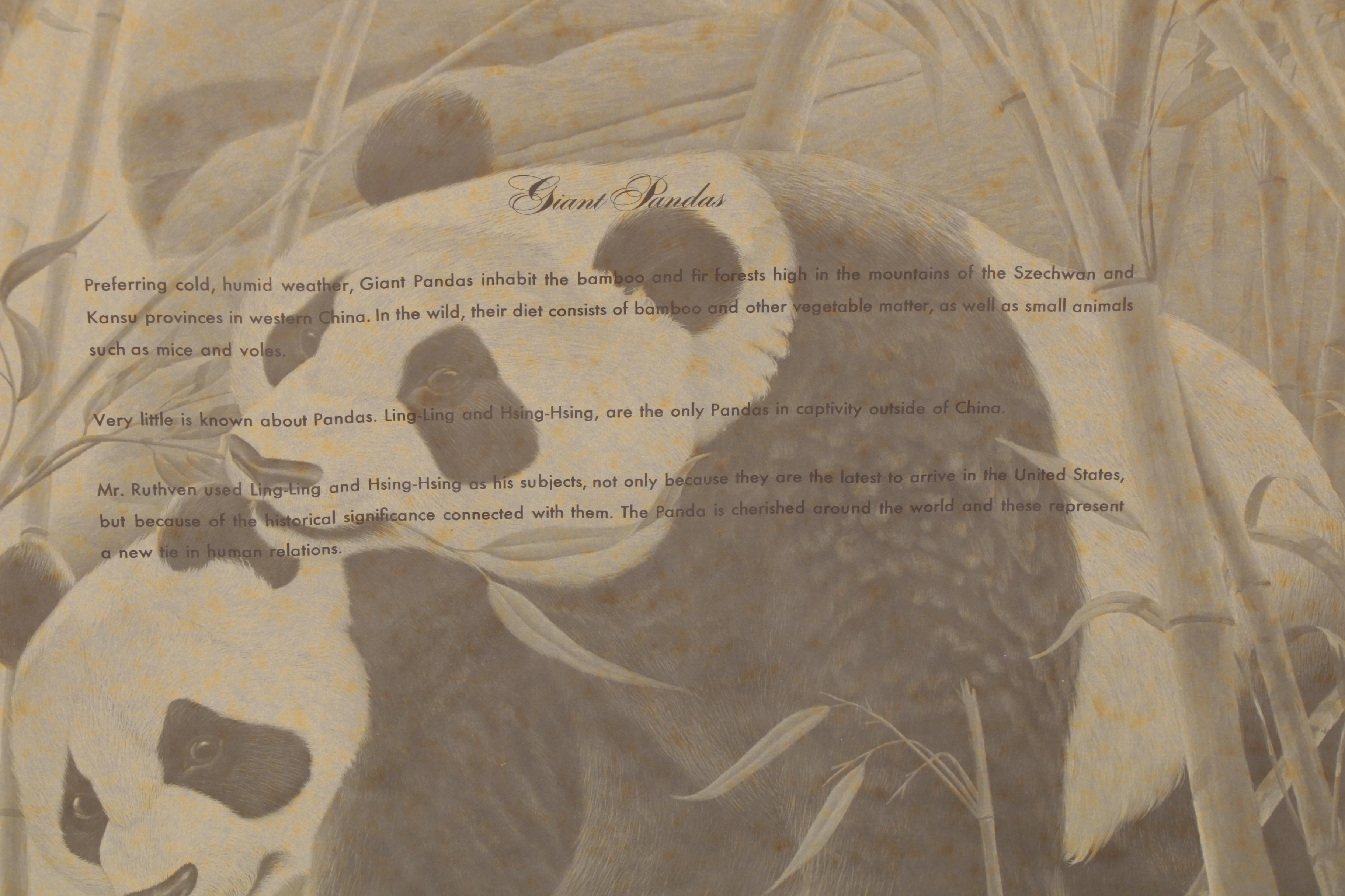 John A. Ruthven Offset Lithograph "Giant Pandas", Late 20th Century
