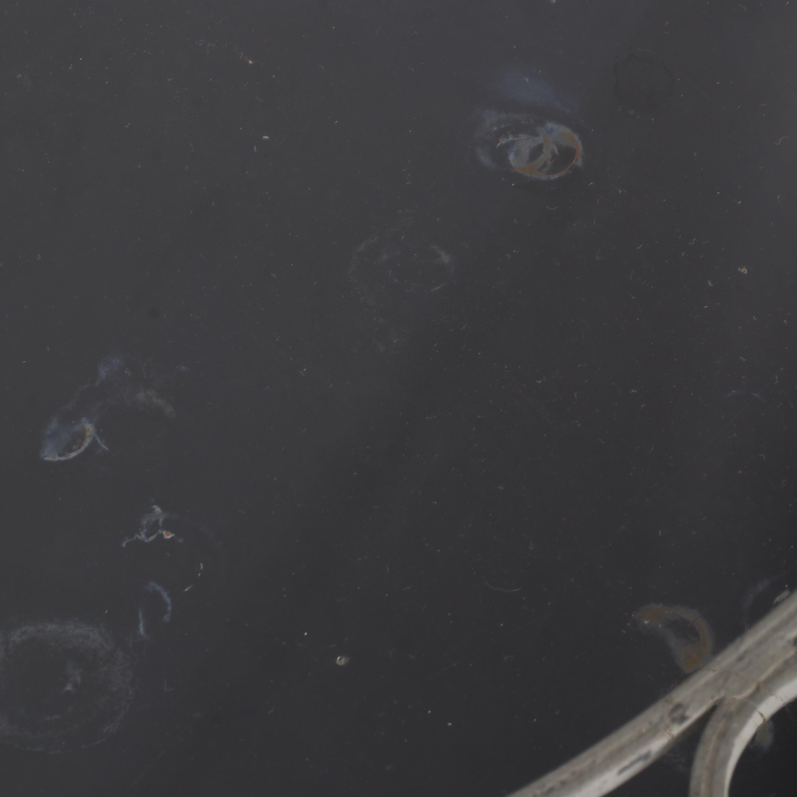 Painted Metal Glass Top Patio Dining Table, Late 20th Century