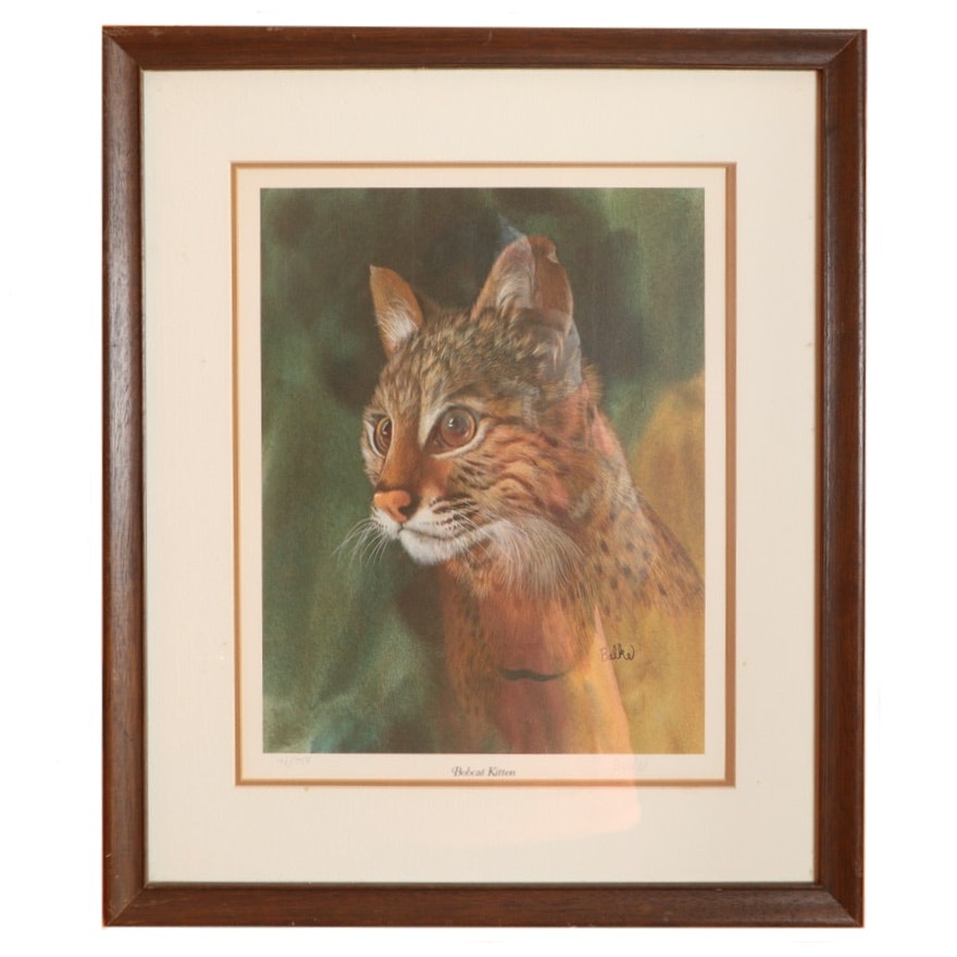 Don Balke Offset Lithograph "Bobcat Kitten"