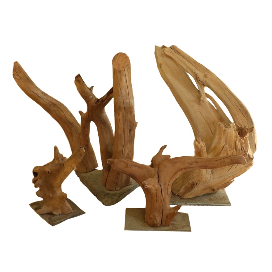 Driftwood Sculptures on Slate Bases, 20th Century