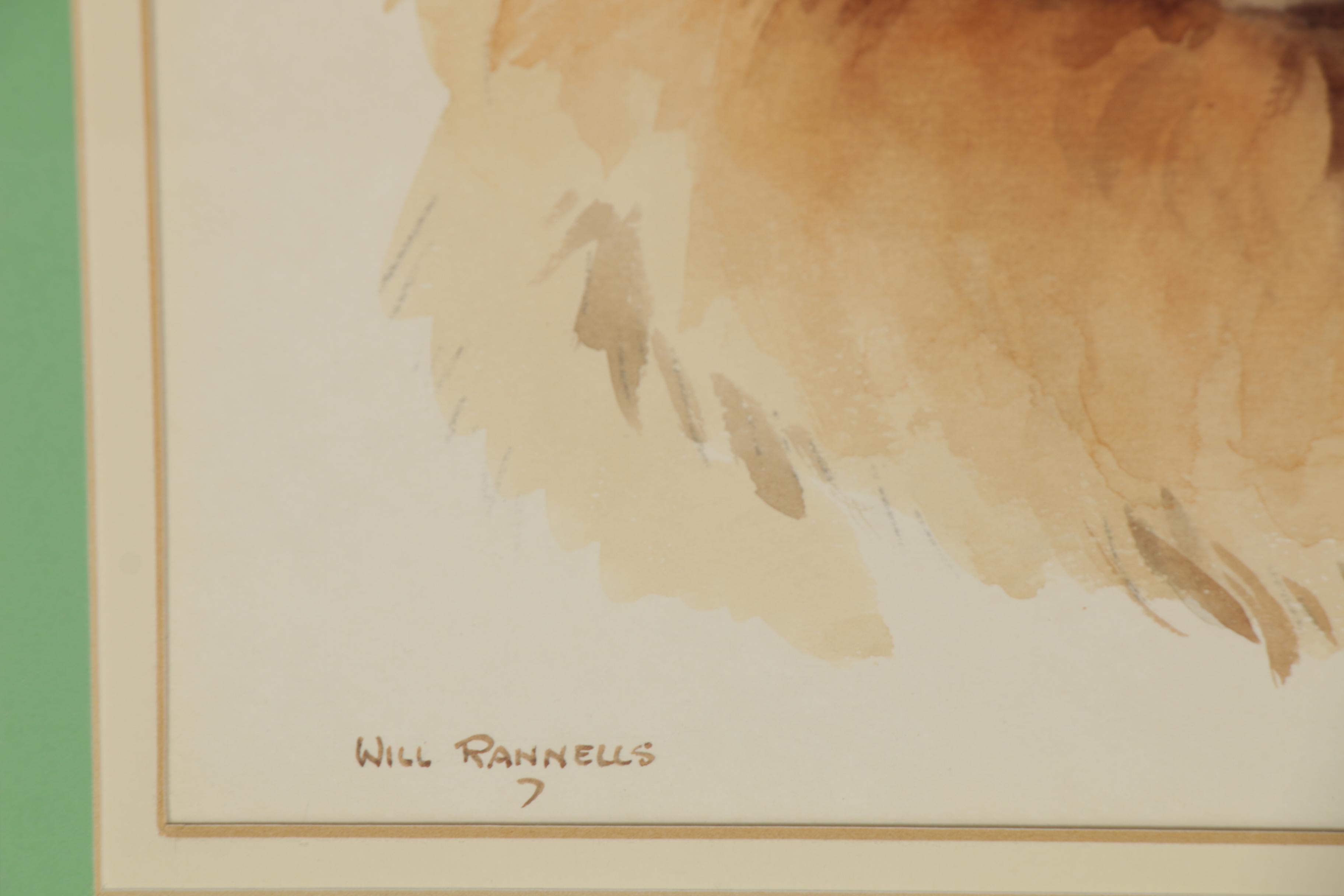 Will Rannells Canine Portrait Watercolor Painting, Mid-20th Century