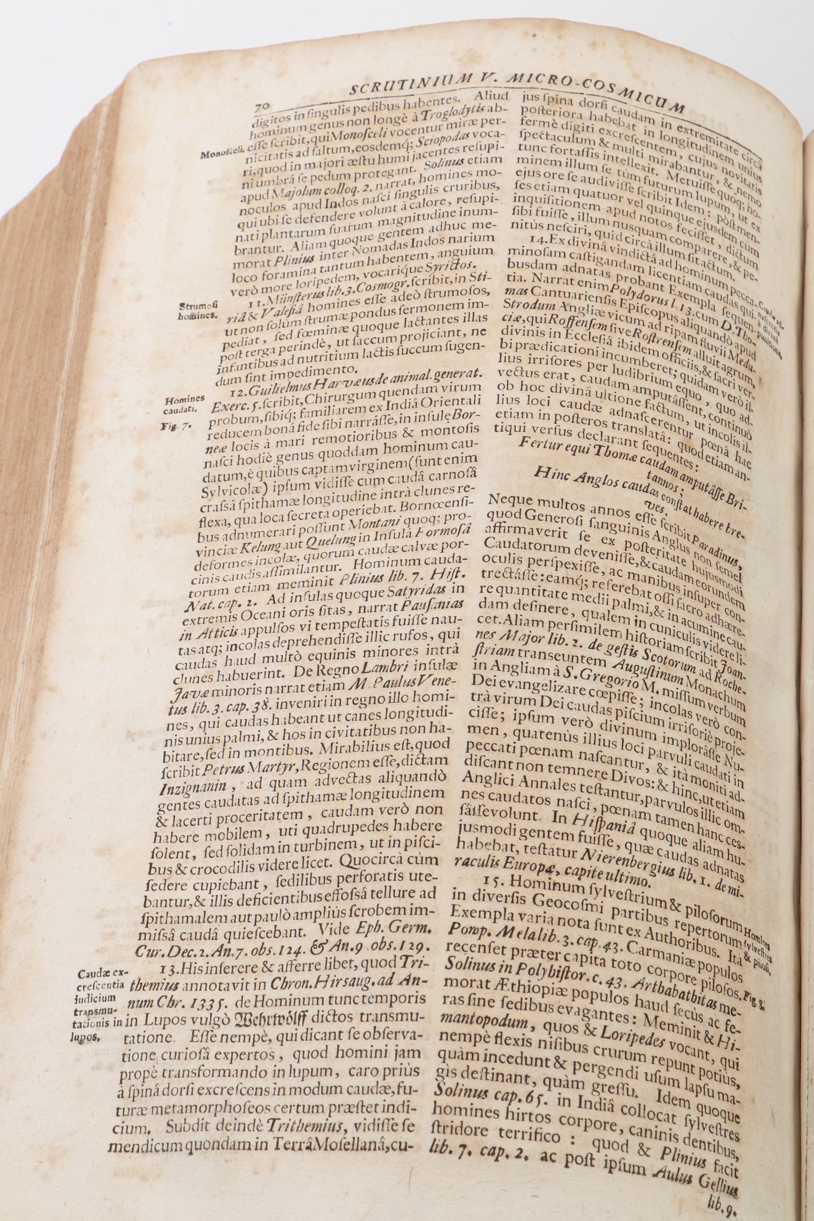 "Specula Physico-Mathematico-Historica" by Johannes Zahn, 1696