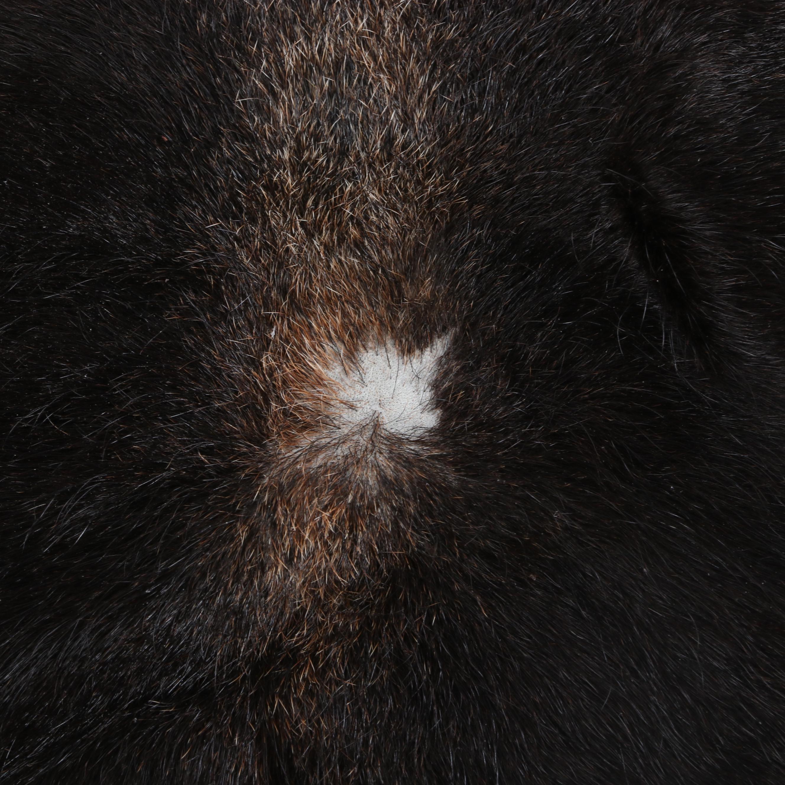 6'1 x 5'11 Natural Cow Hide Area Rug