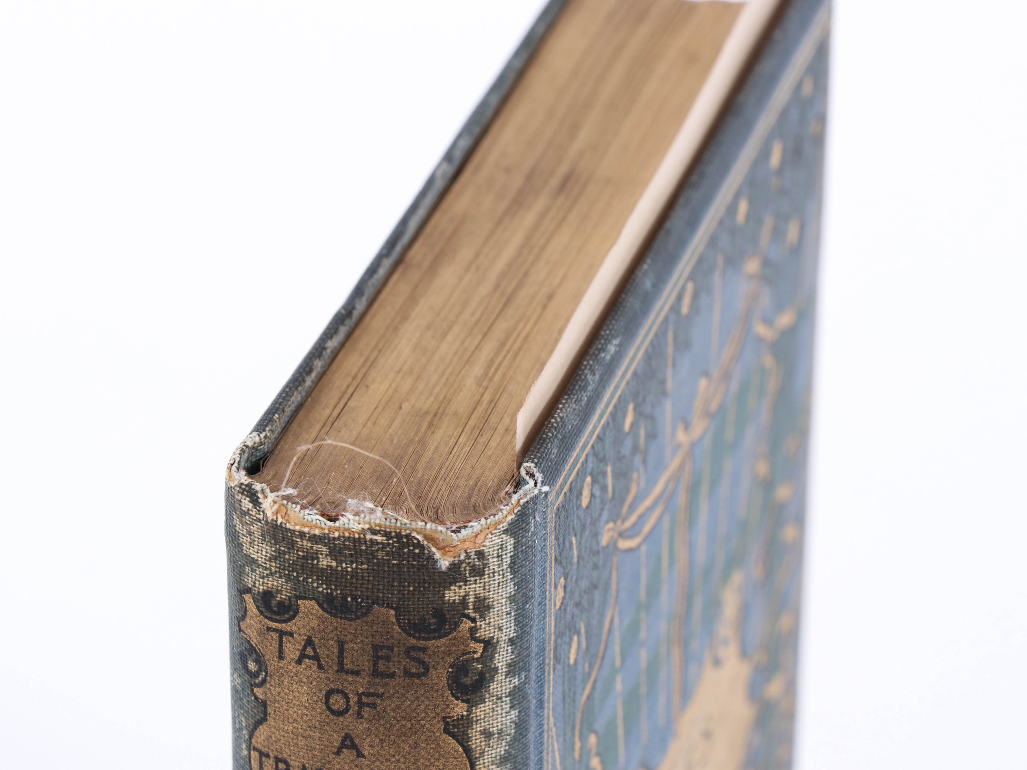 "Tales of a Traveler" by Washington Irving, 1895