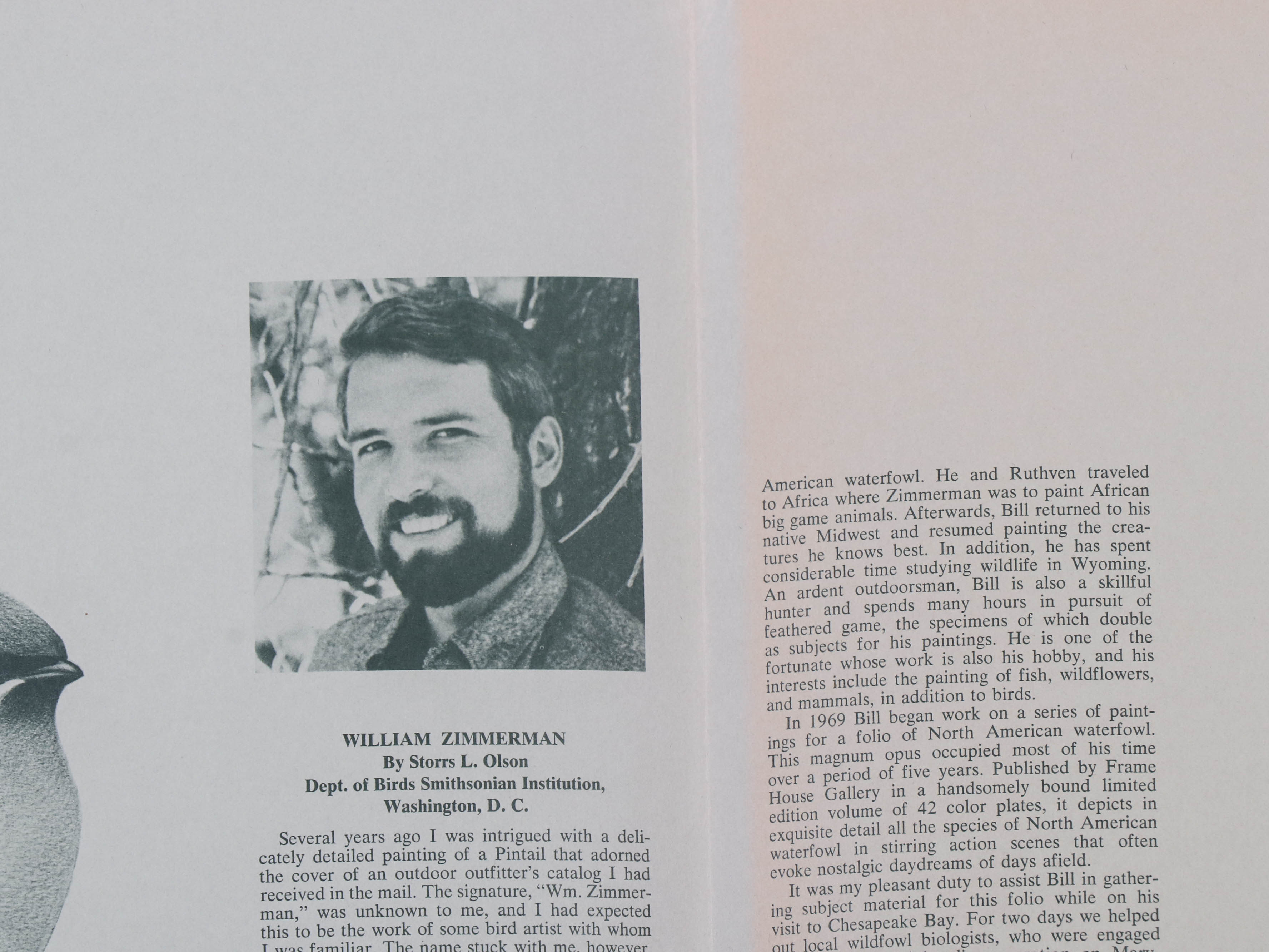 William Zimmerman Offset Lithograph "Swallow-Tailed Kite"