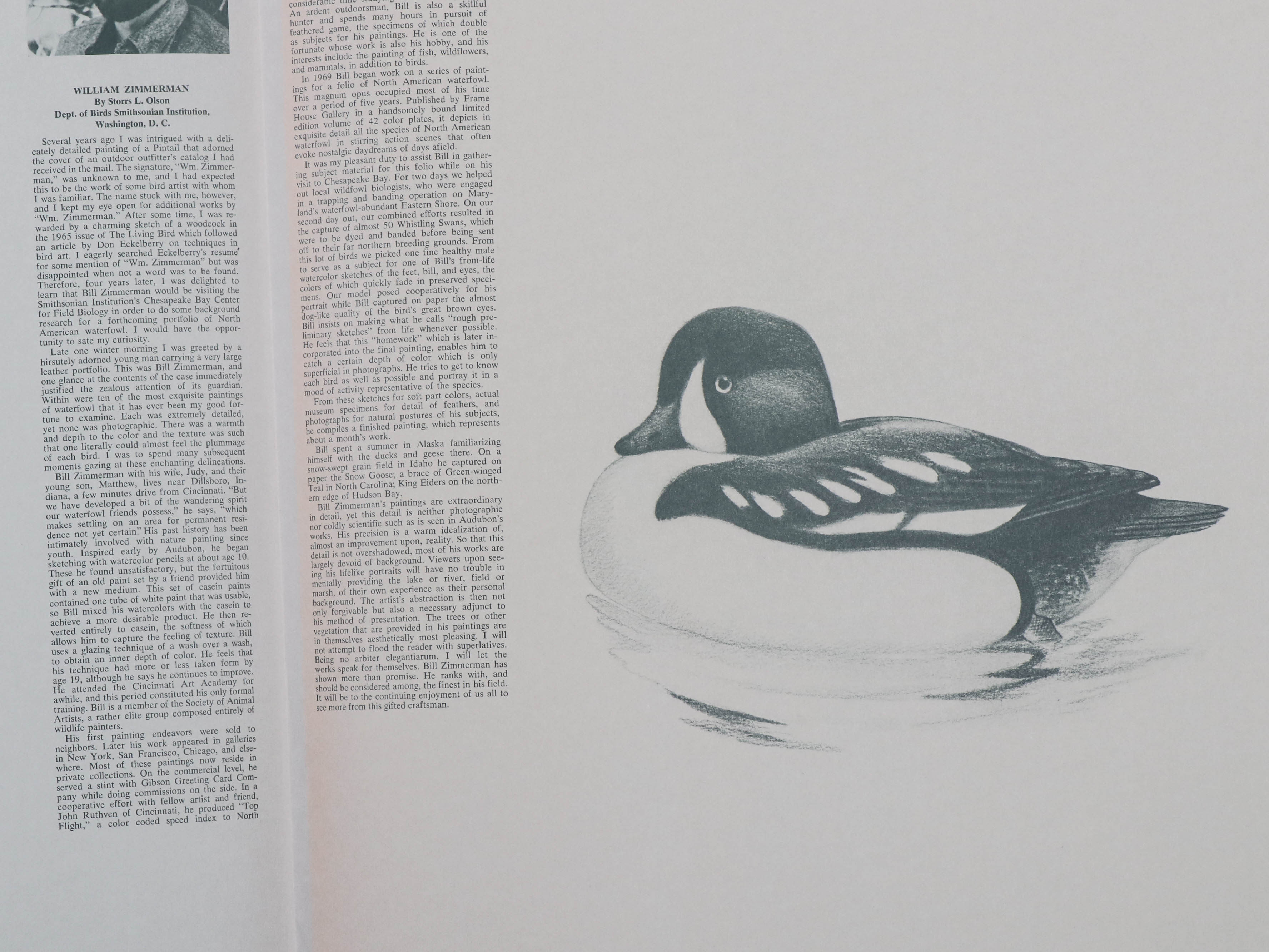 William Zimmerman Offset Lithograph "Swallow-Tailed Kite"