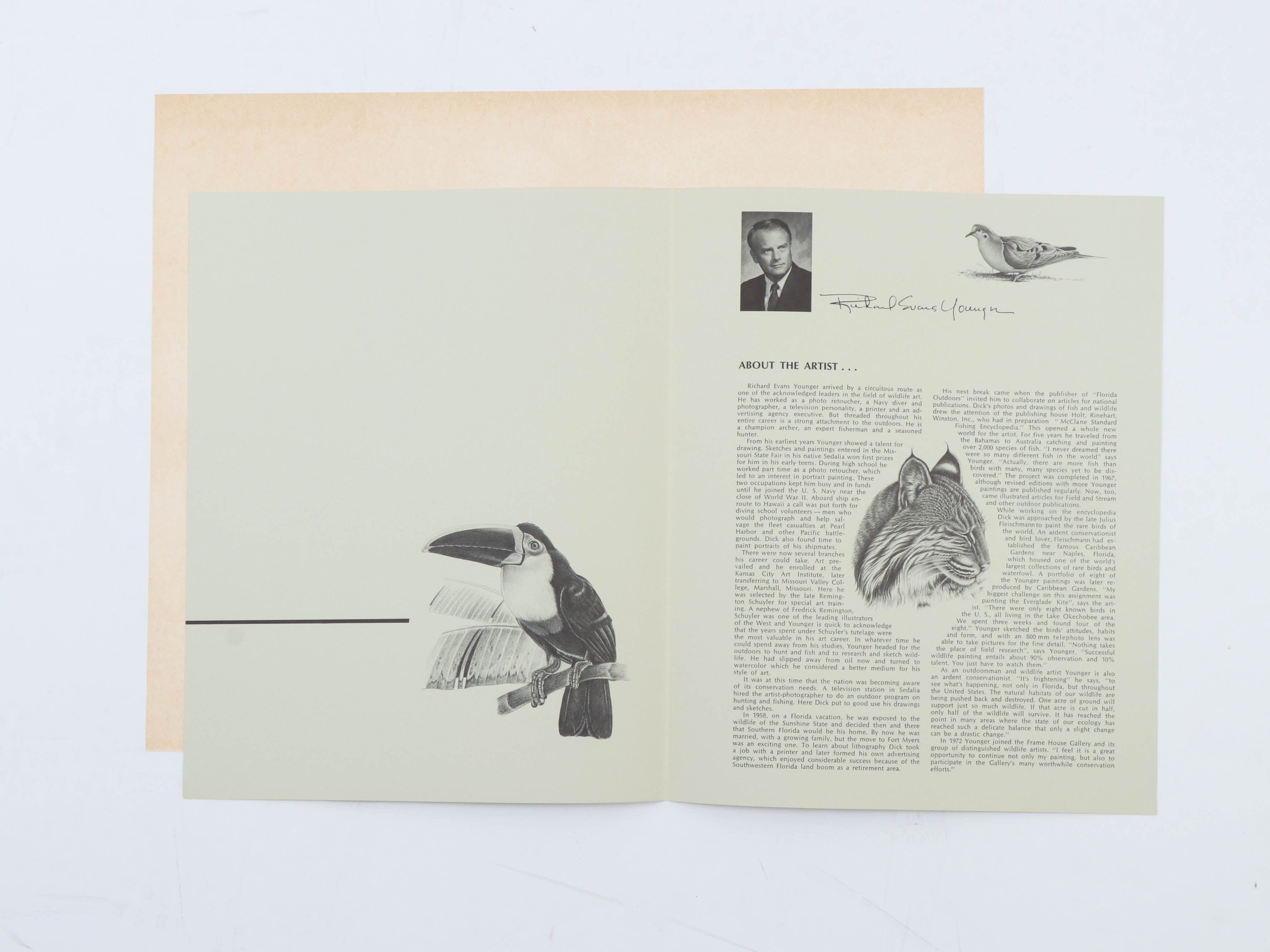 Richard Evans Younger Offset Lithograph "Yearling, Young Bobcat"