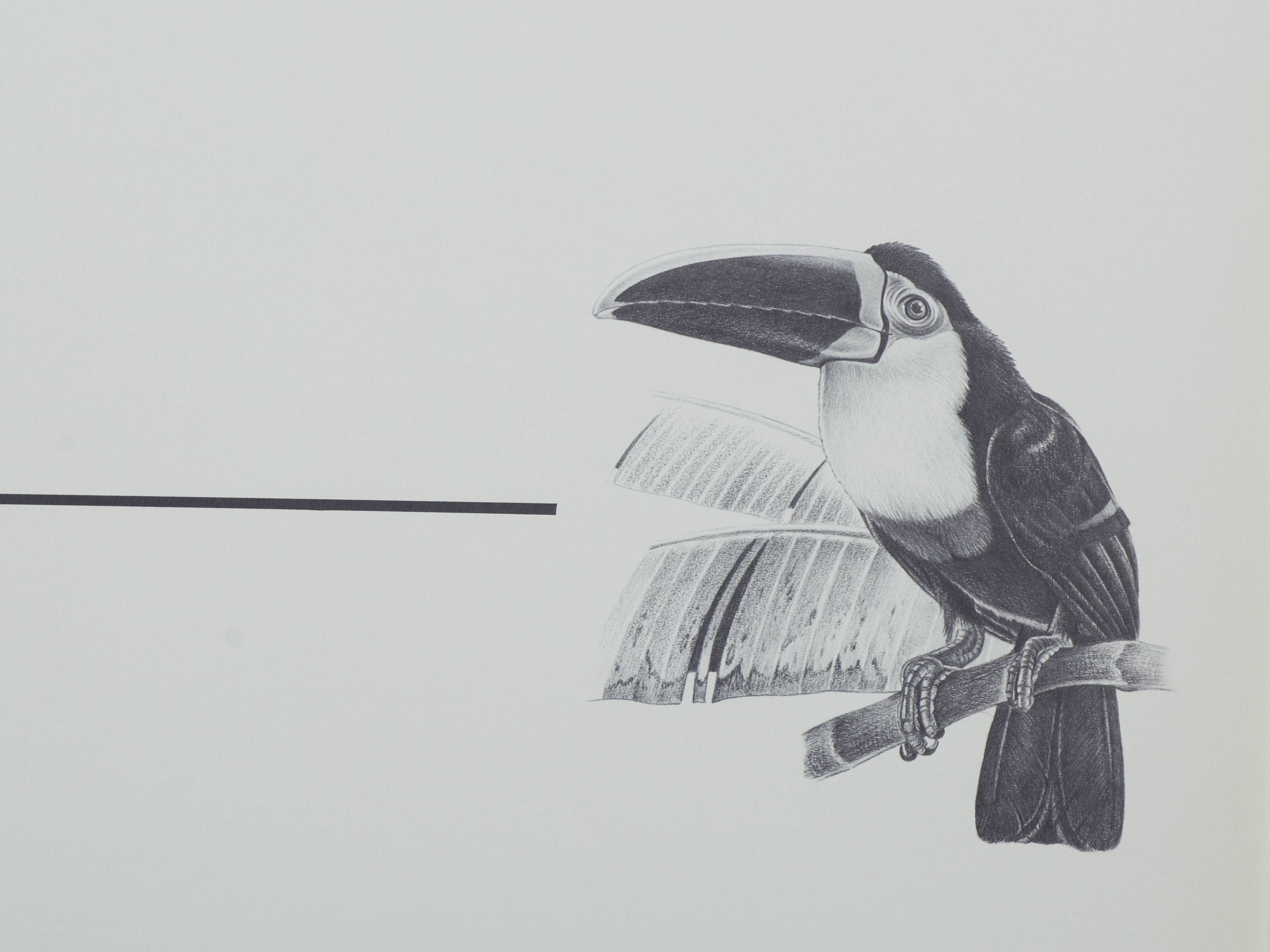 Richard Evans Younger Offset Lithograph "Yearling, Young Bobcat"