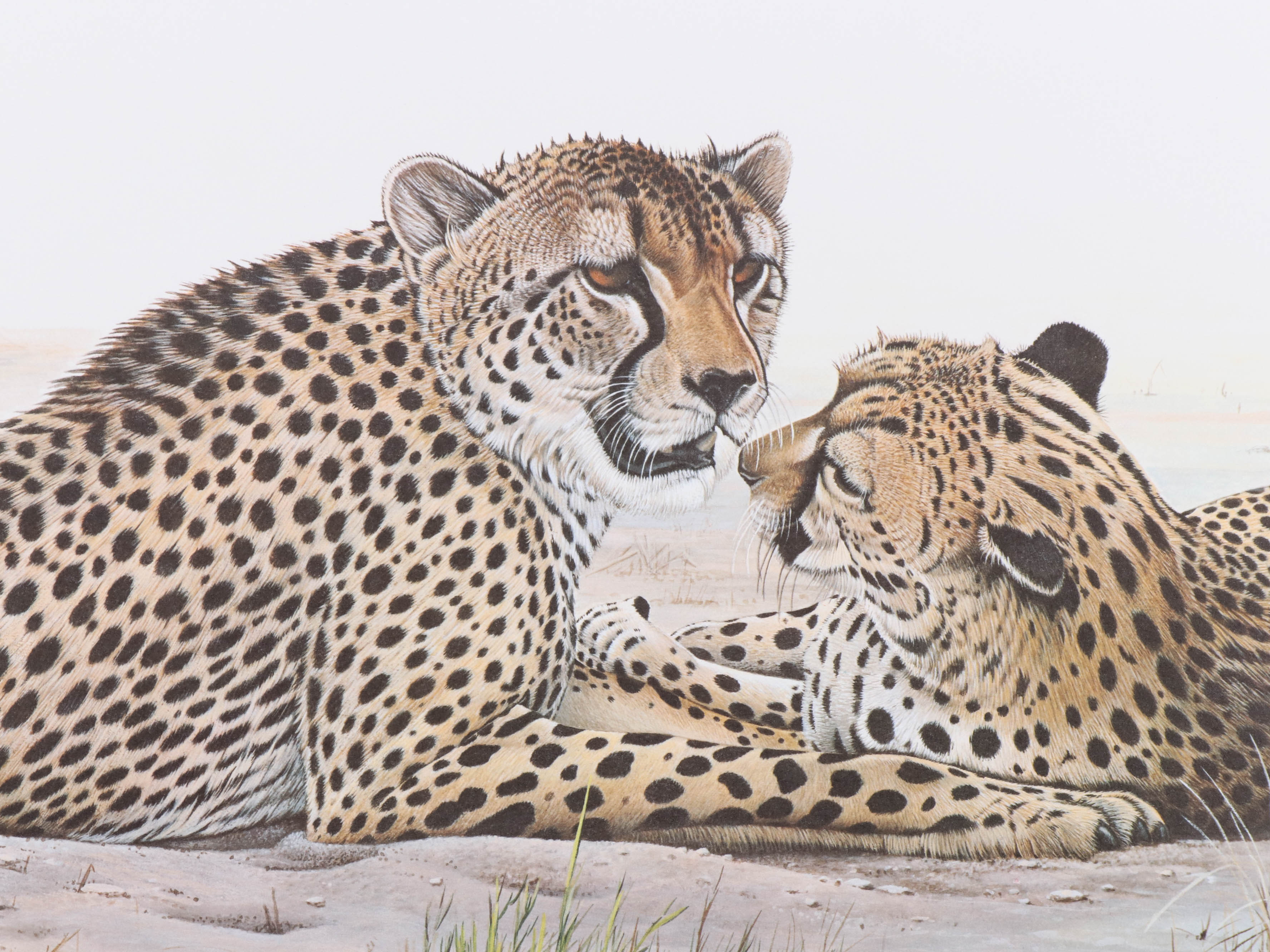 Richard Evans Younger Offset Lithograph "Cheetah," circa 1972