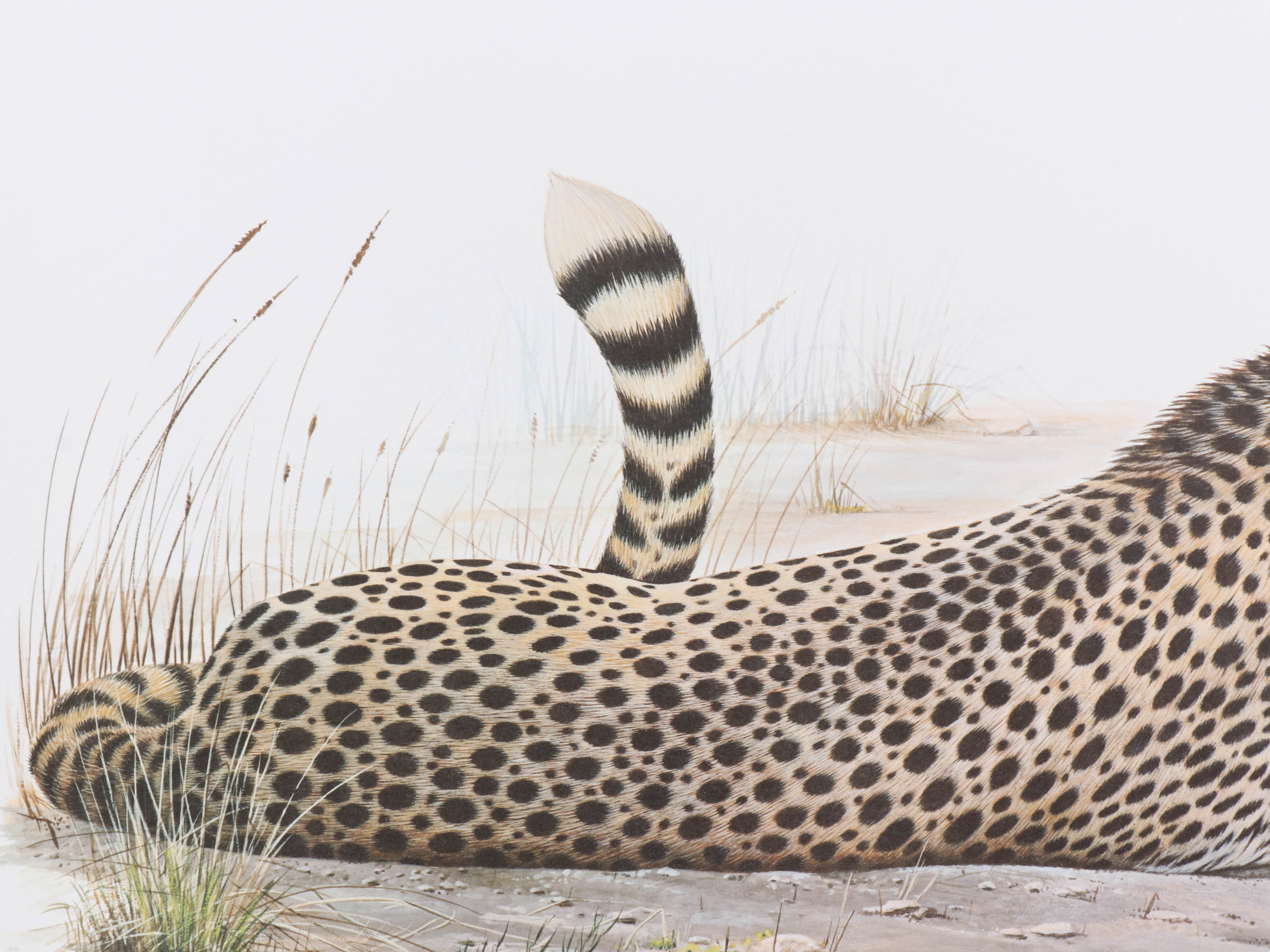Richard Evans Younger Offset Lithograph "Cheetah," circa 1972