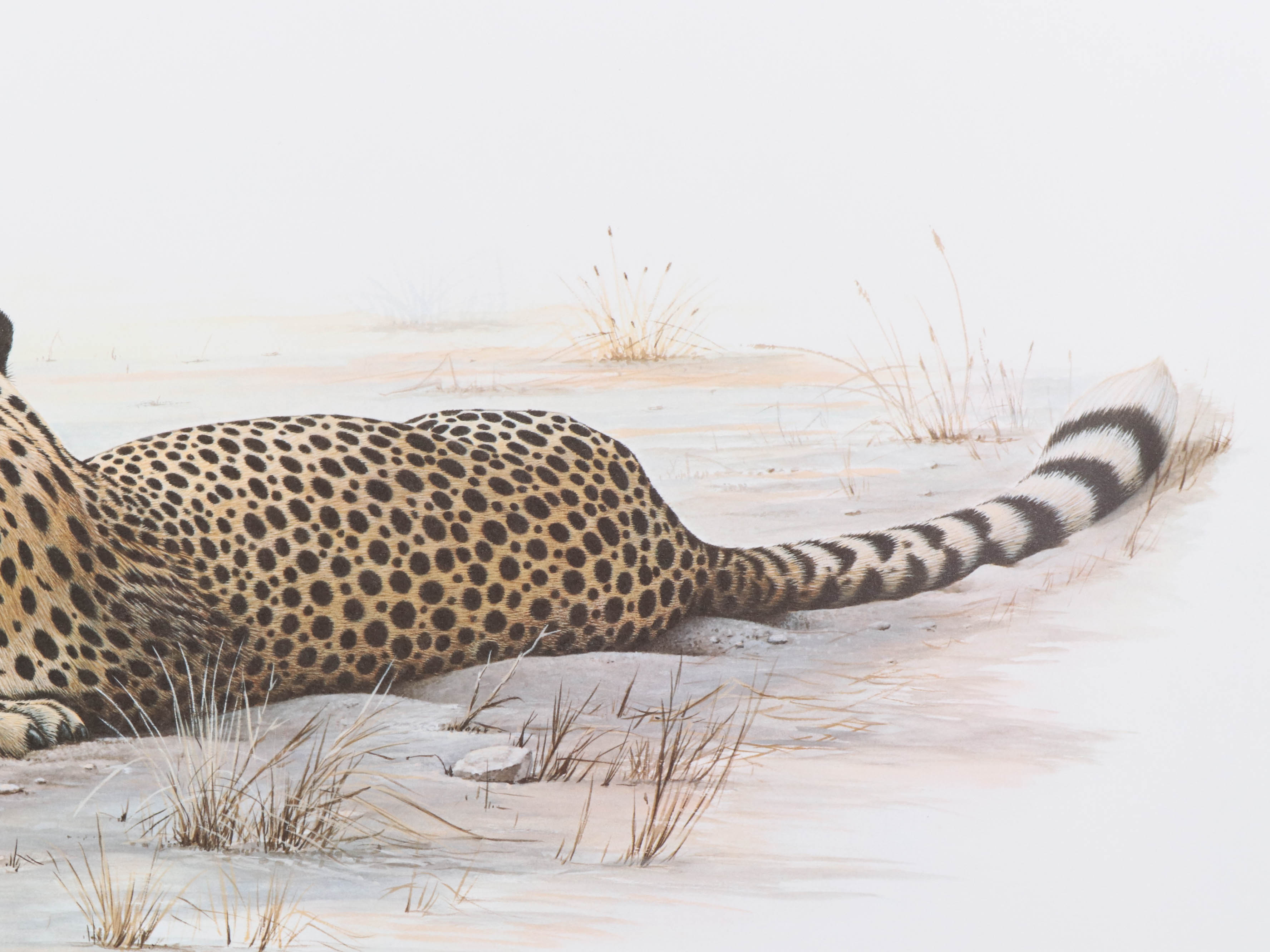 Richard Evans Younger Offset Lithograph "Cheetah," circa 1972