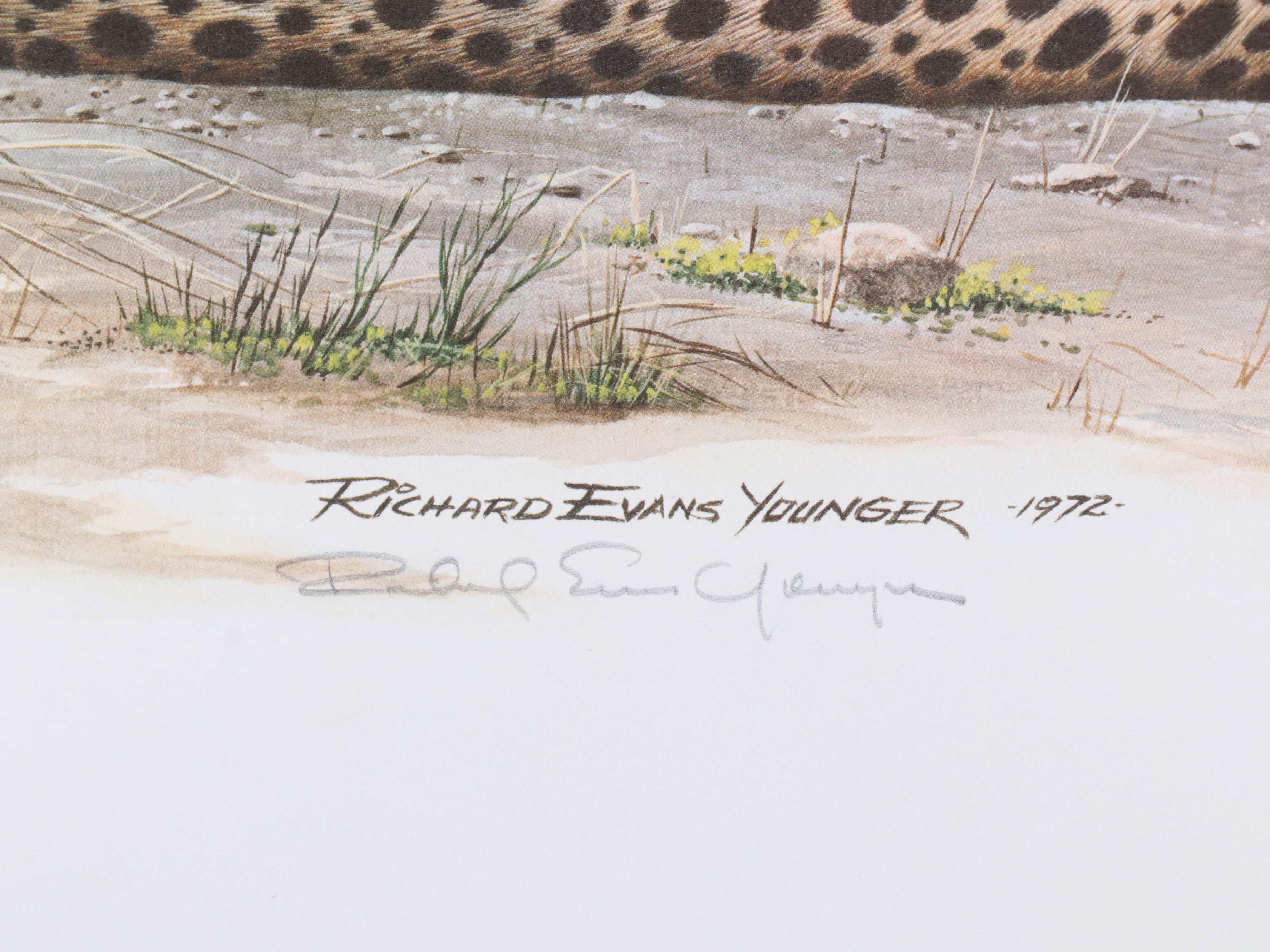 Richard Evans Younger Offset Lithograph "Cheetah," circa 1972
