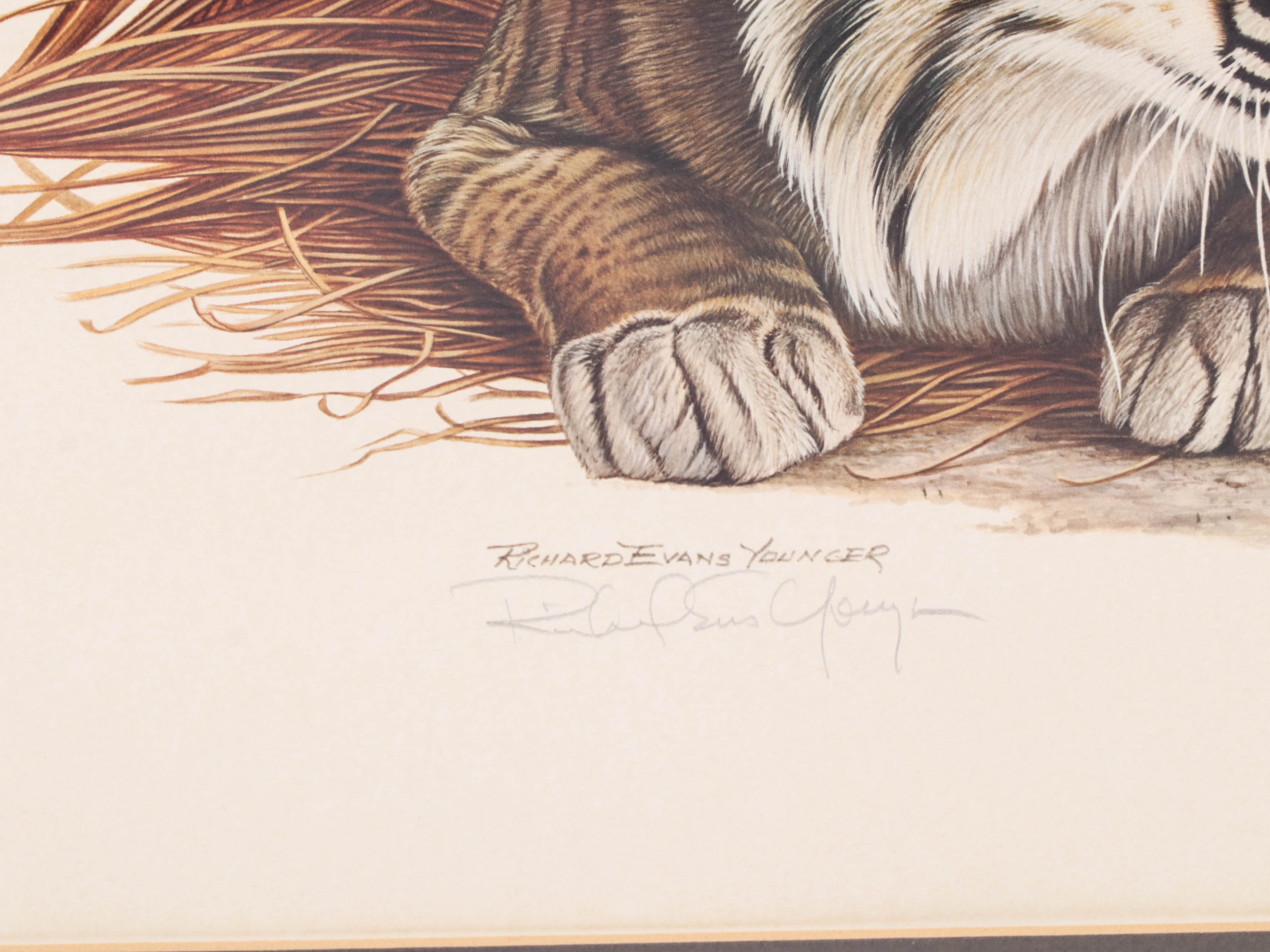 Richard Evans Younger Offset Lithograph "Bobcat"