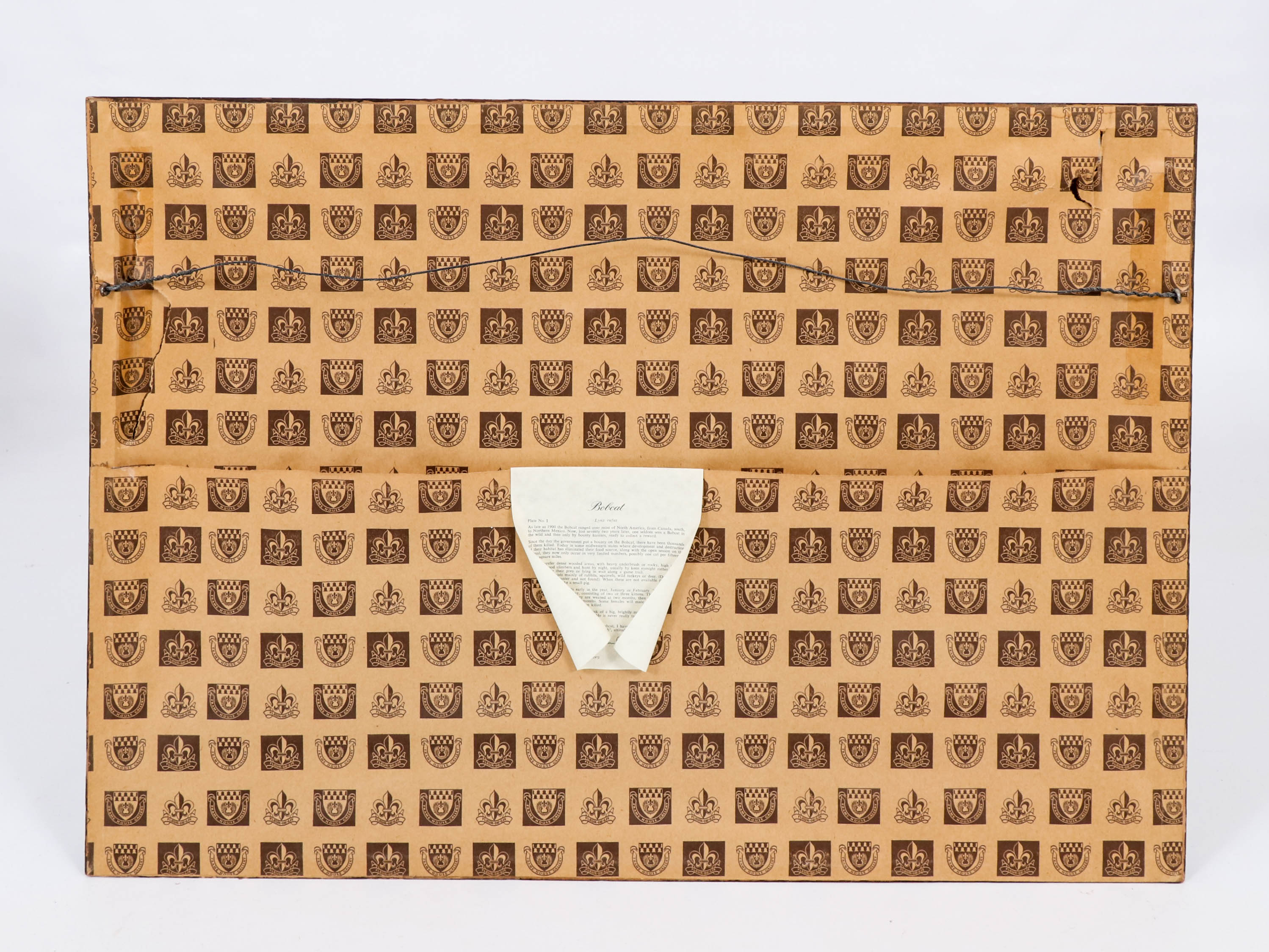 Richard Evans Younger Offset Lithograph "Bobcat"